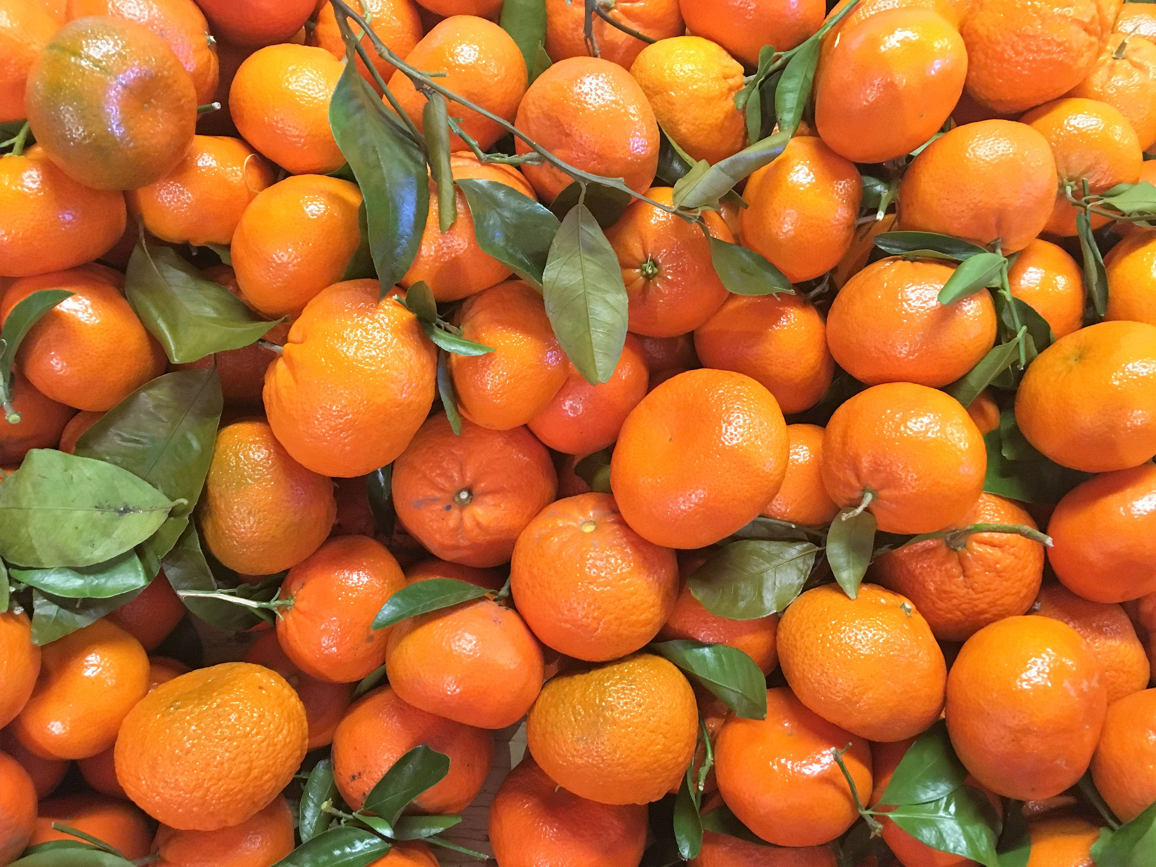 Fruits 桌布 壁紙 — 一個充滿活力的特寫，新鮮的柑橘帶有仍然附著的綠葉，在明亮的光線下閃閃發光。