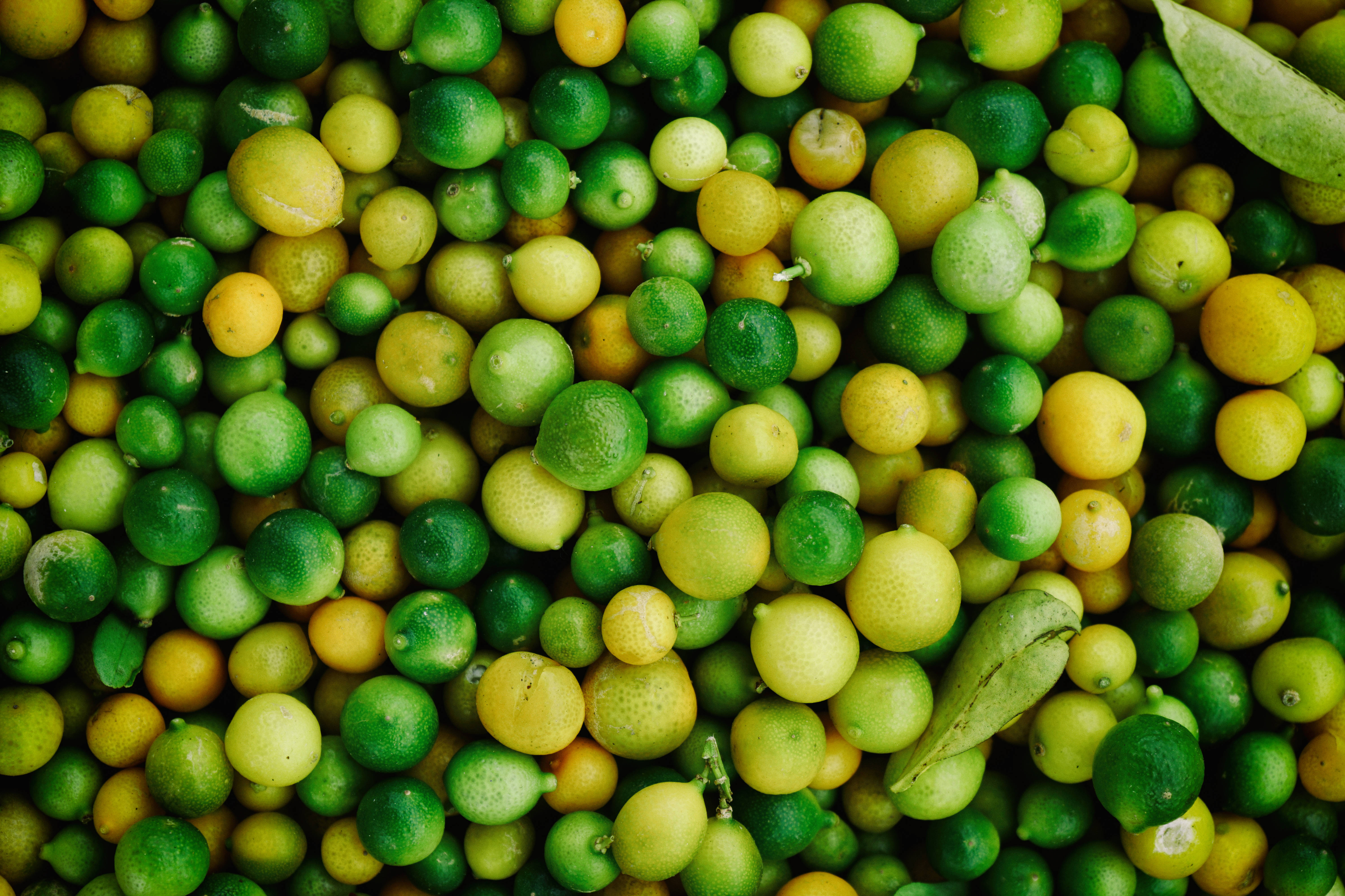Fruits 桌布 壁紙 — 一個充滿活力的特寫，無數綠色和黃色的萊姆，上面有露珠和樹葉散落在它們之間。