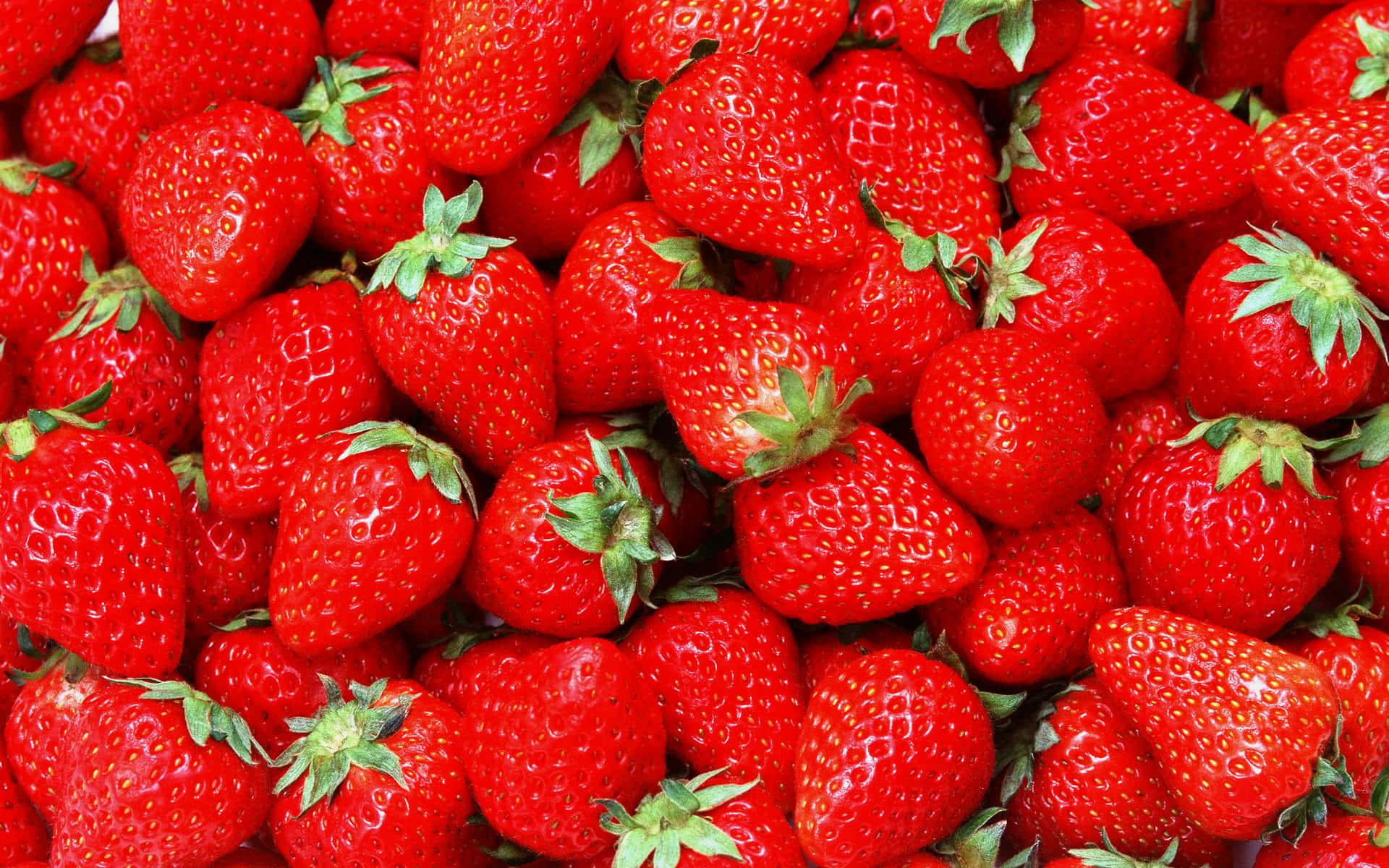 Red Strawberry 桌布 壁紙 — 一個充滿活力的特寫，飽滿成熟的草莓帶著綠色頂部，在明亮光線下閃閃發光。