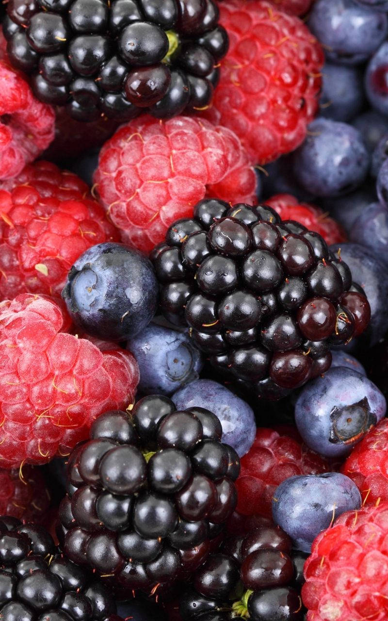 Berry 桌布 壁紙 — 一個充滿活力的特寫，飽滿的黑莓、覆盆子和藍莓閃爍著露水般的新鮮感。