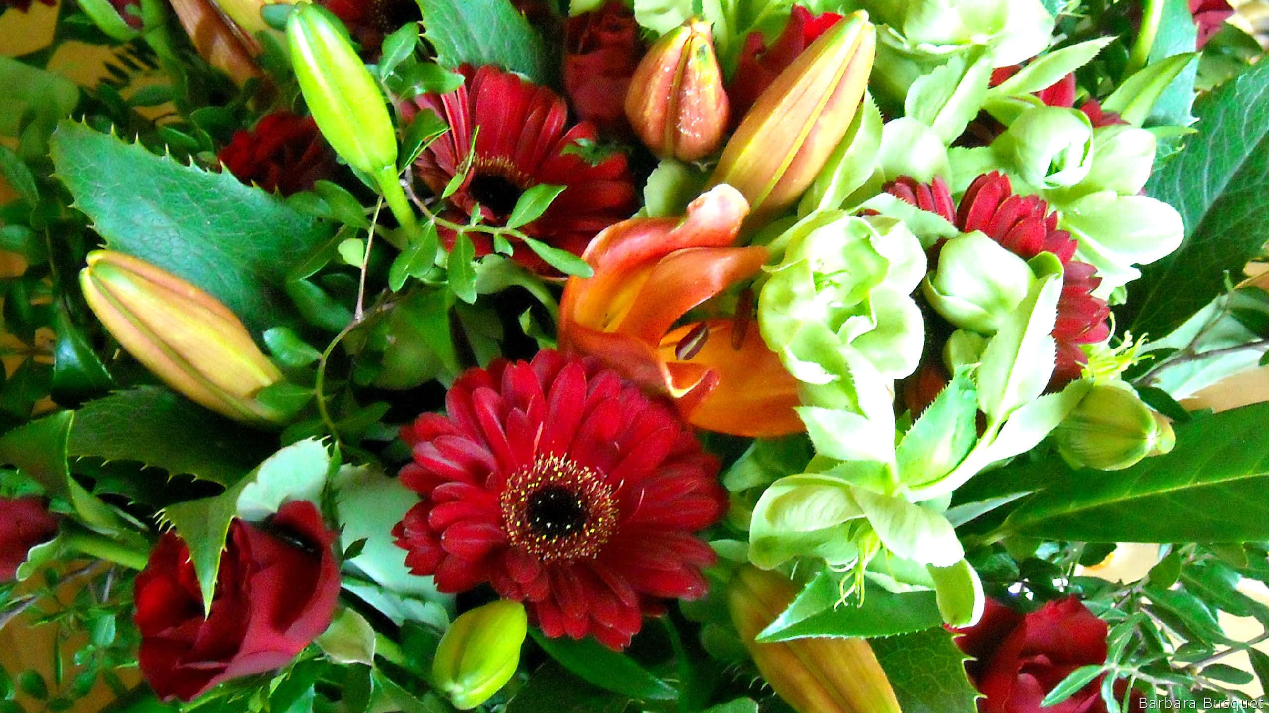 Flower Arrangement 桌布 壁紙 — 一個充滿活力的特寫鏡頭，展示了一個茂盛的花束，包含紅色非洲菊雛菊、橙色百合和綠色鐵筷子花蕾，周圍環繞著深綠色葉子。