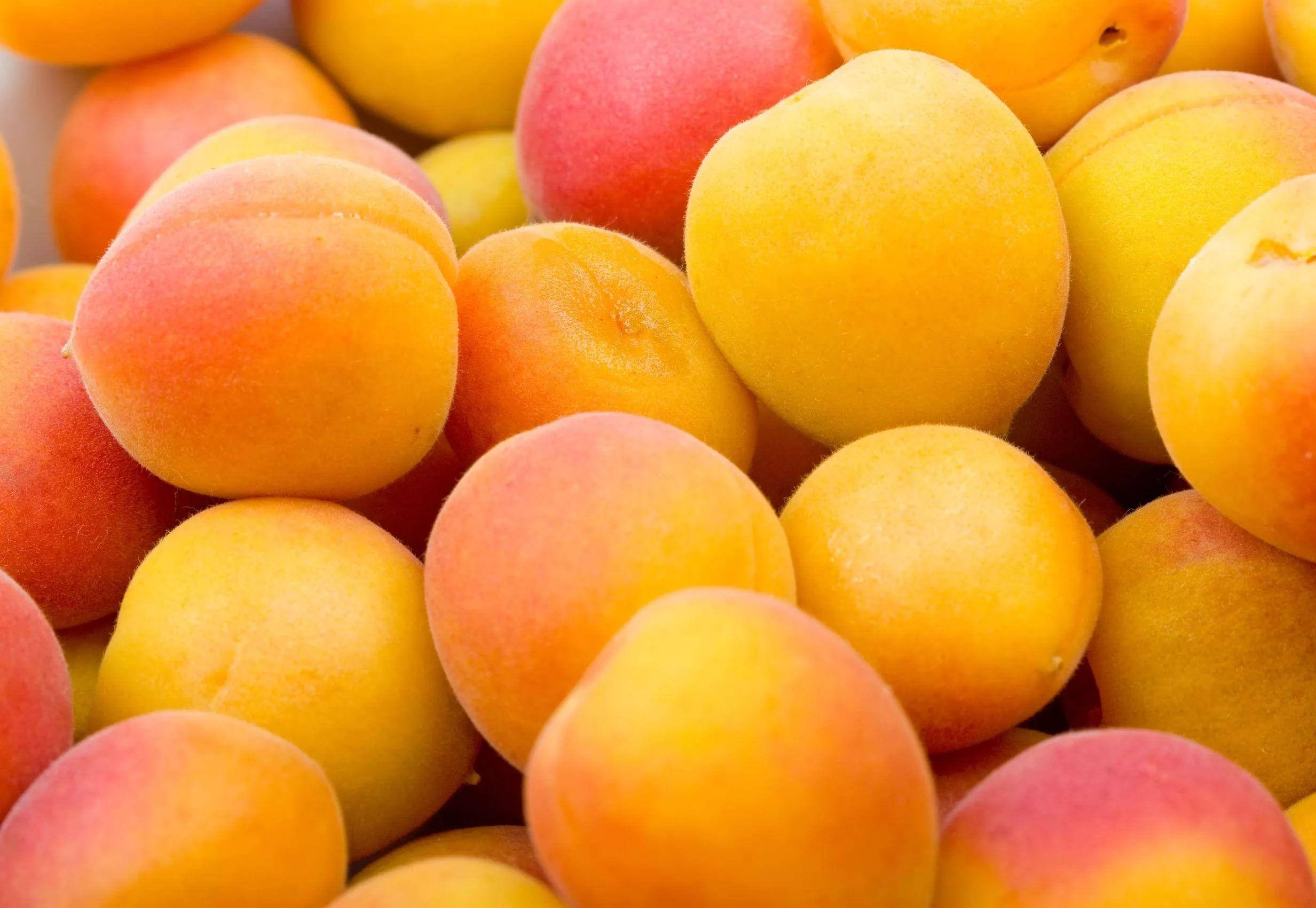 Fruits 桌布 壁紙 — 一個充滿活力的特寫鏡頭，展示飽滿的杏子，帶有金黃色和淡粉紅色的色調堆疊在一起。