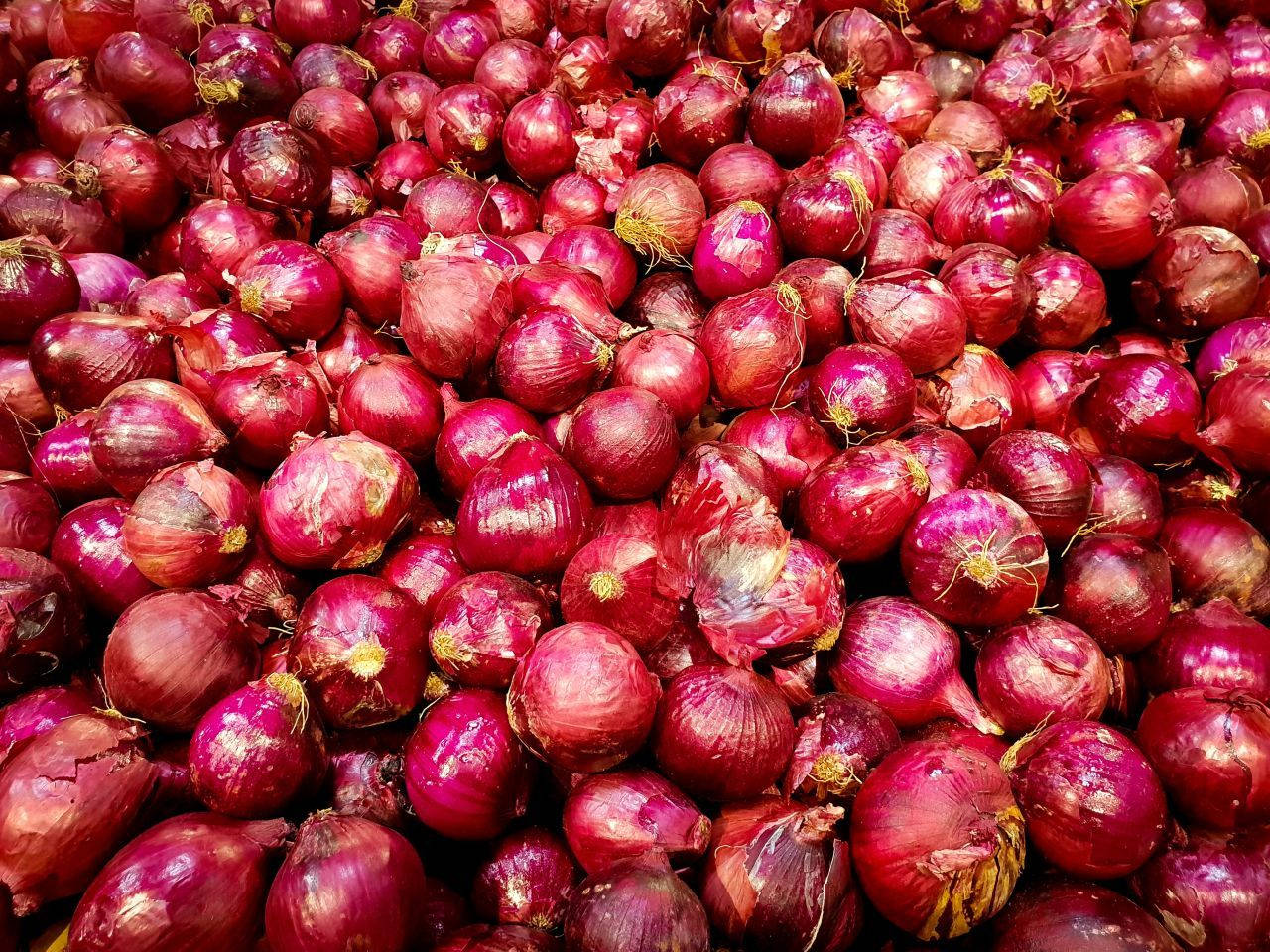 Vegetables 桌布 壁紙 — 一個充滿活力的特寫鏡頭，無數光澤的紅洋蔥堆疊得很高，帶有紋理的皮和乾燥的莖。