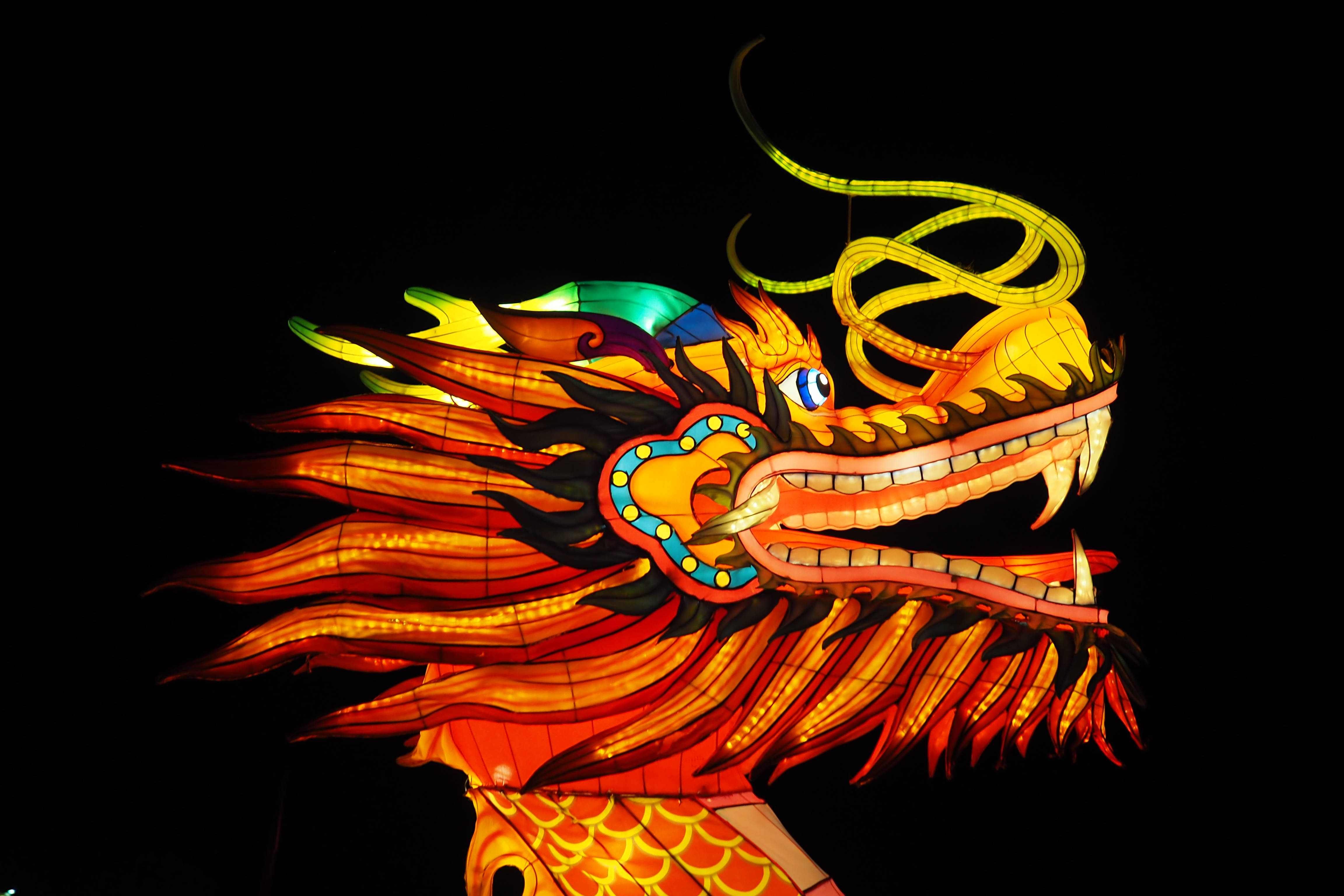 龍珠Z 桌布 壁紙 — 一個充滿活力的發光龍燈籠，帶有火紅的橙色和黃色鱗片，在漆黑的夜空中閃耀。
