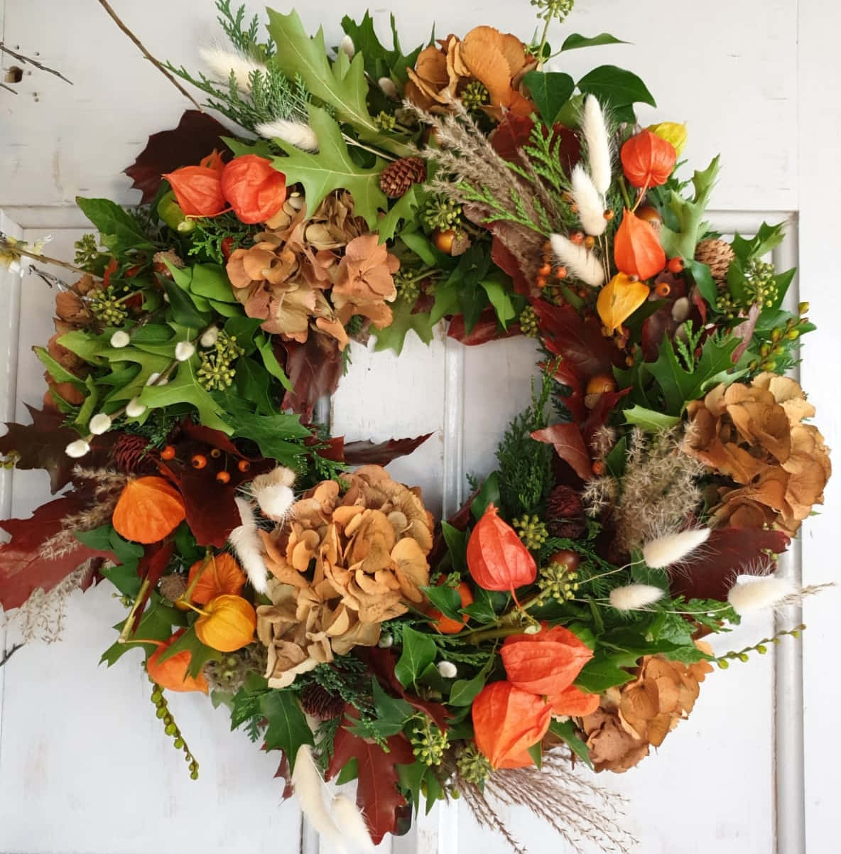 Fall Wreath 桌布 壁紙 — 一個充滿活力的秋季花環，飾有橙色燈籠、棕色繡球花和綠葉，掛在白色木門上。