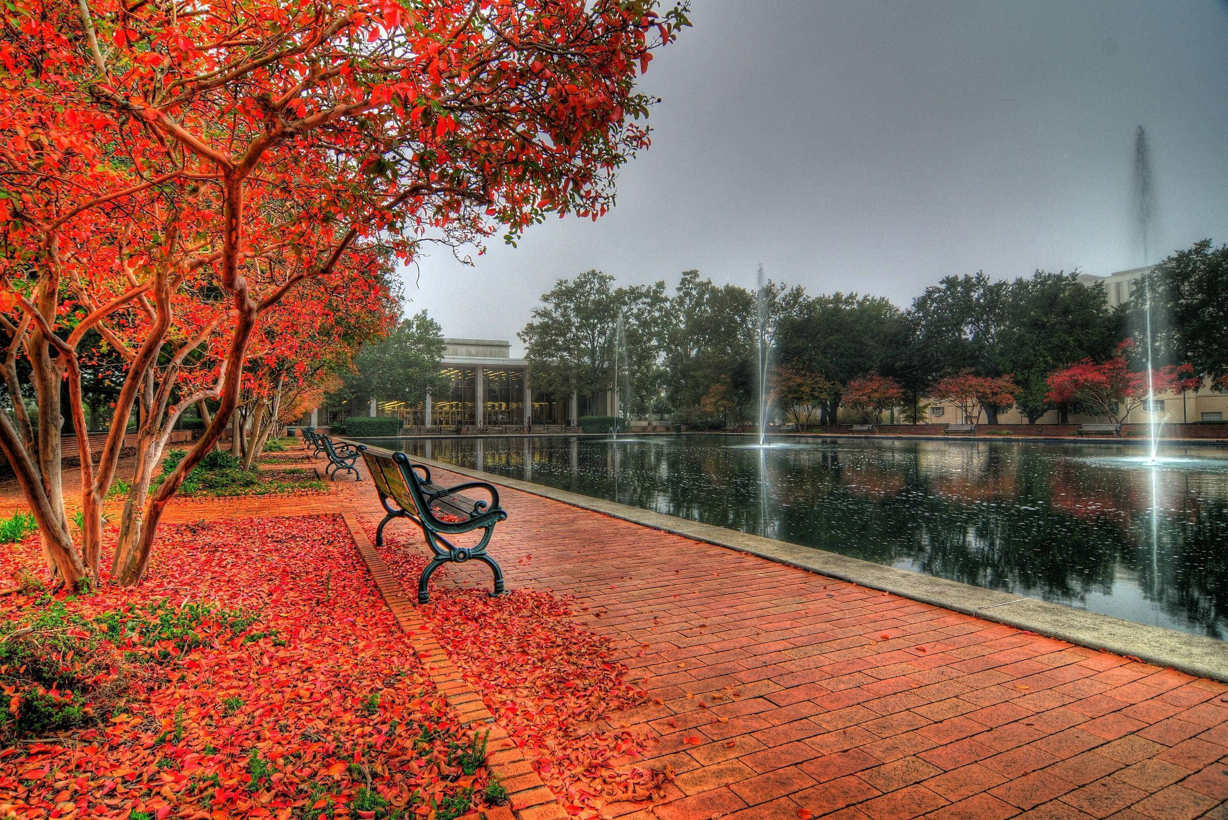 樹木 桌布 壁紙 — 一個充滿活力的秋日公園場景，火紅的樹木排列在磚砌小徑旁，旁邊是一個帶噴泉的倒影池，天空多雲。