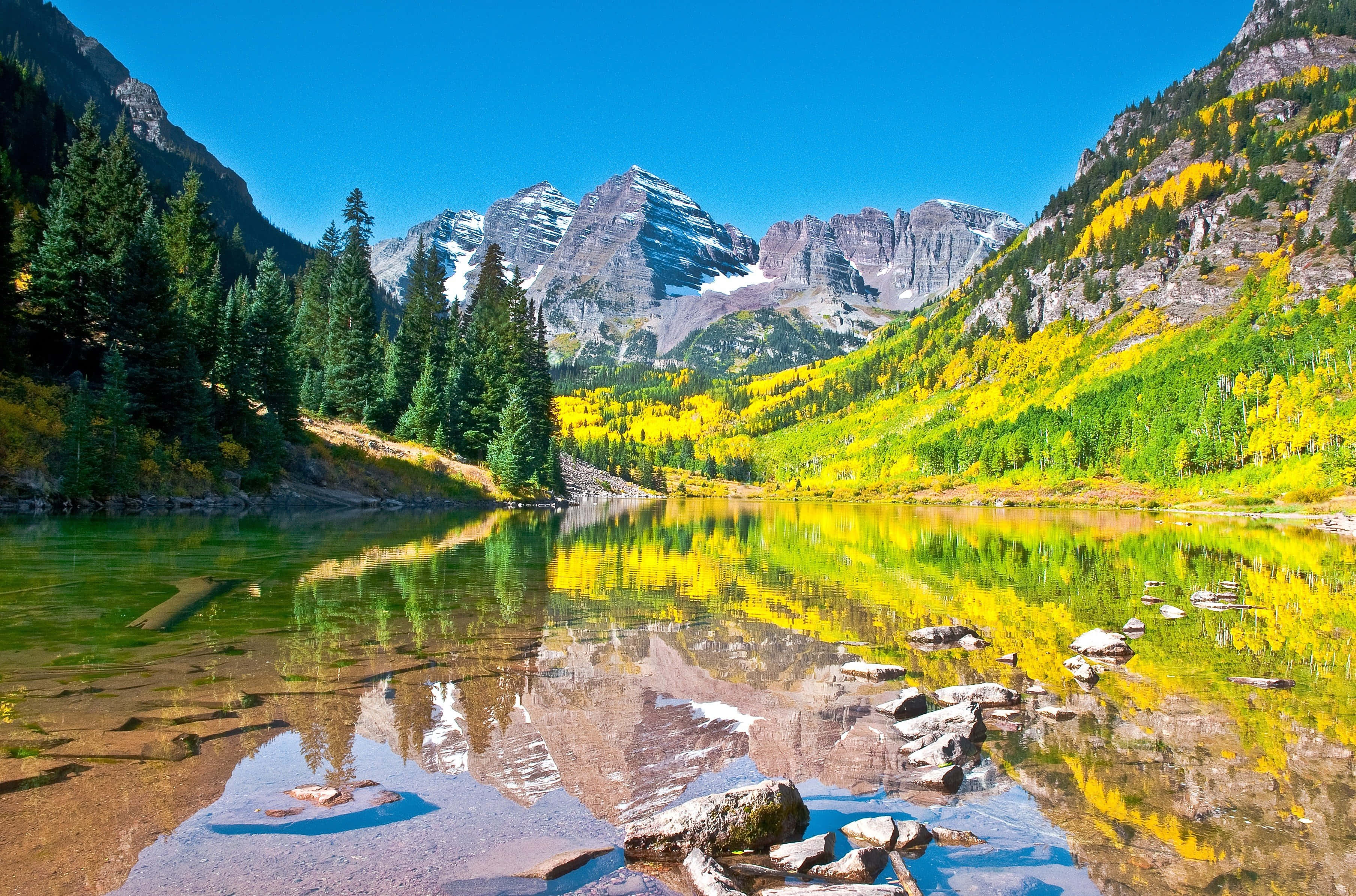 Aspen Colorado 桌布 壁紙 — 一個充滿活力的秋日山湖，在清澈的藍天下映照著積雪的山峰和金黃的白楊樹。