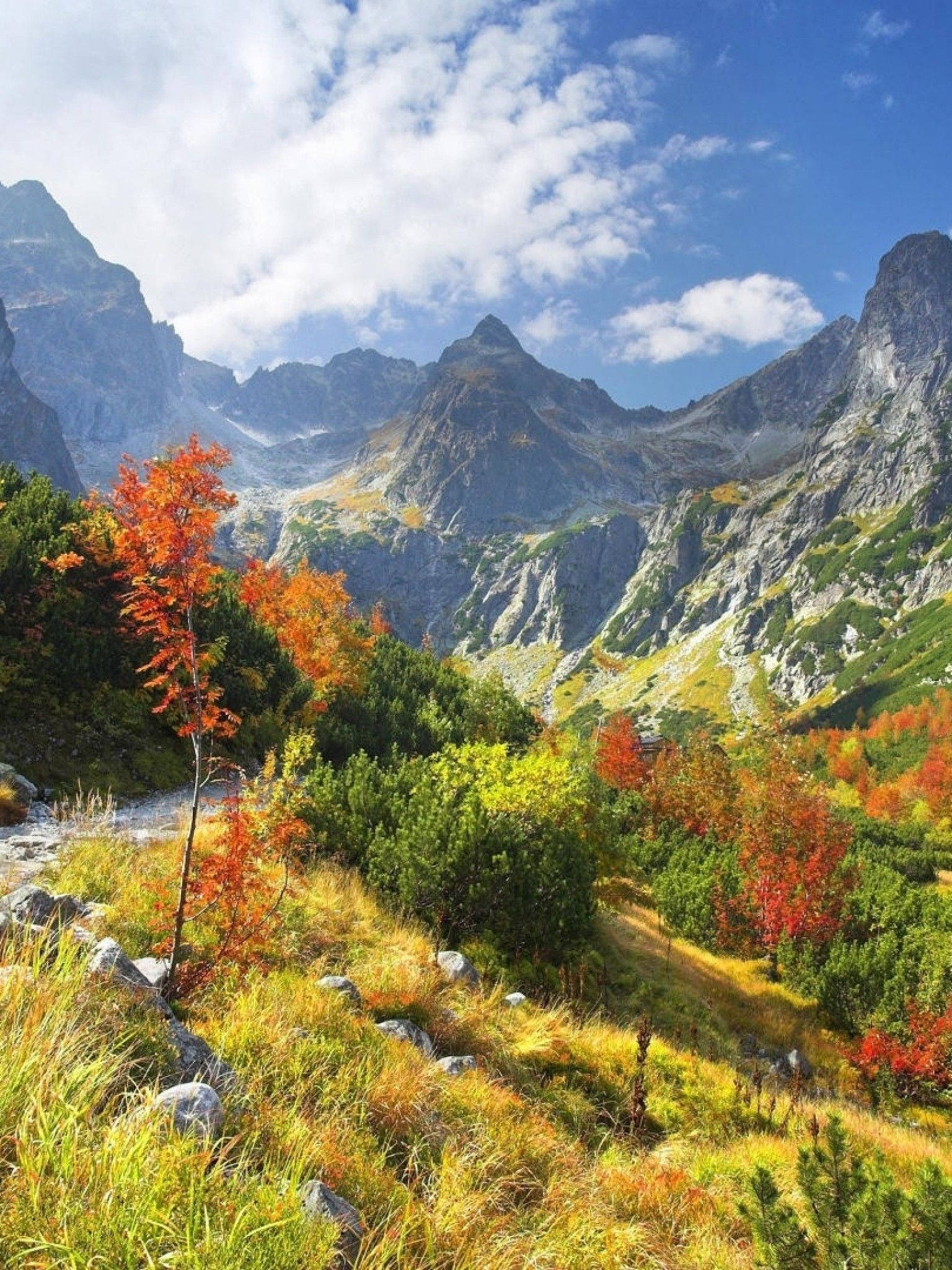 Slovakia 桌布 壁紙 — 一個充滿活力的秋日山谷，火紅和金黃的樹葉夾在高聳的岩石山脈之間，上方是明亮的藍天和蓬鬆的白雲。