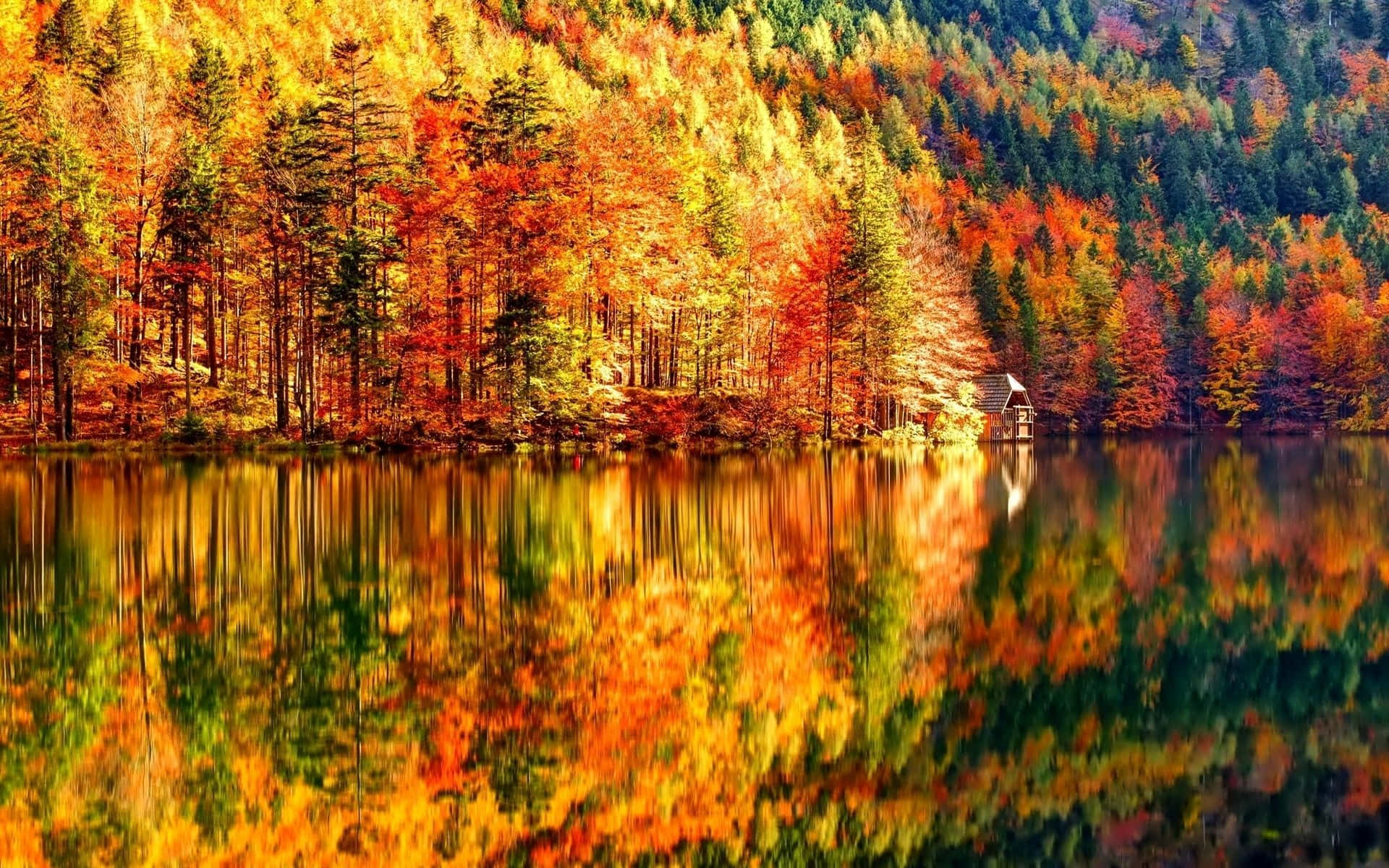 桌布 壁紙 — 一個充滿活力的秋日森林，火紅橙黃的樹木完美地倒映在平靜的湖面上，旁邊有一座小木屋。