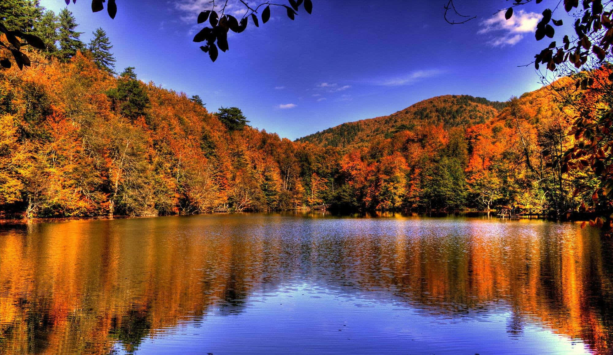 Beautiful Landscape 桌布 壁紙 — 一個充滿活力的秋日湖泊，在深藍色天空下映照出火紅的橙色和金色樹木，並以深色樹葉作為框架。