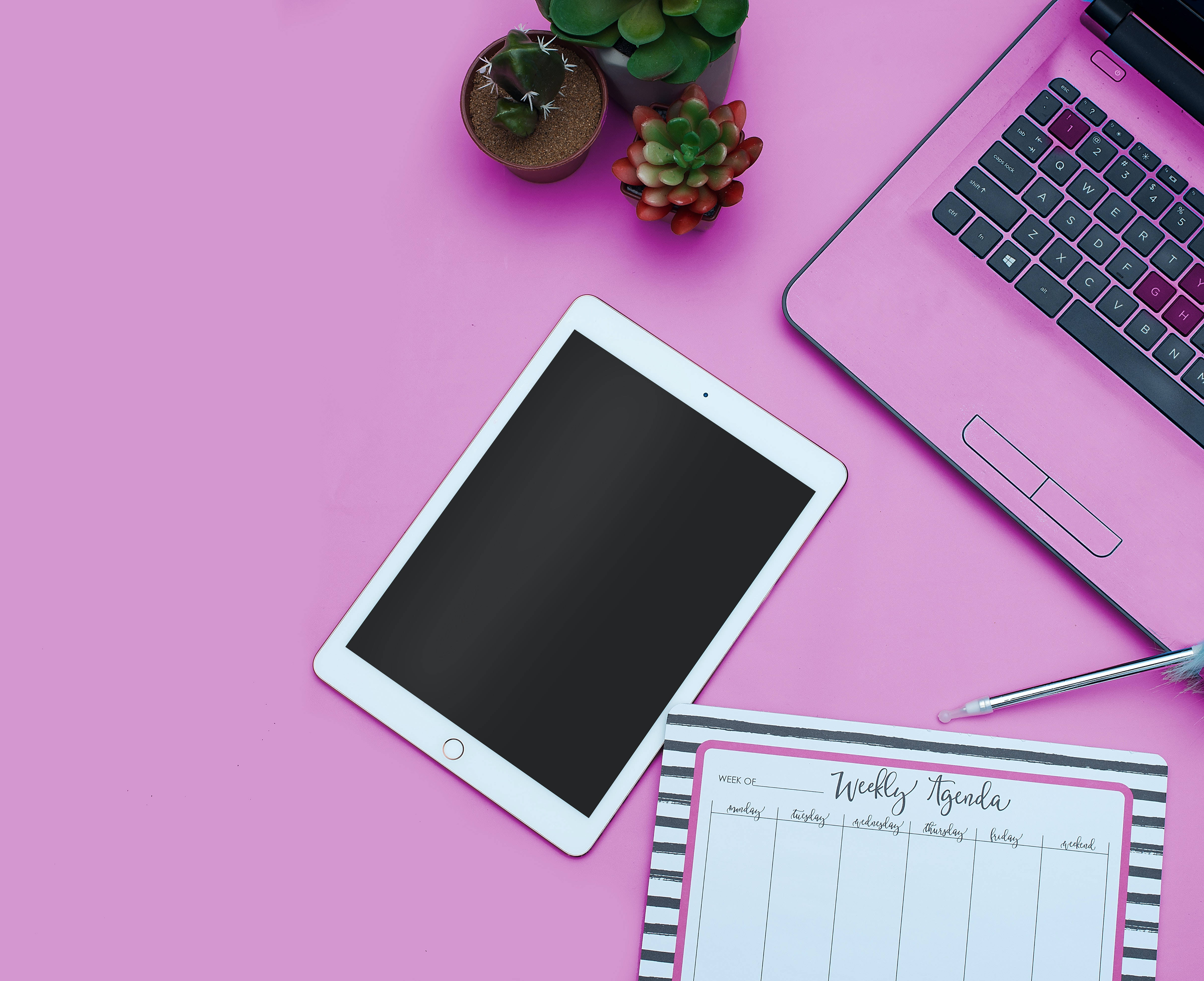 Cute Laptop 桌布 壁紙 — 一個充滿活力的粉紅色桌面設置，配備筆記型電腦、平板電腦、計劃本和多肉植物，適合現代數位工作空間。