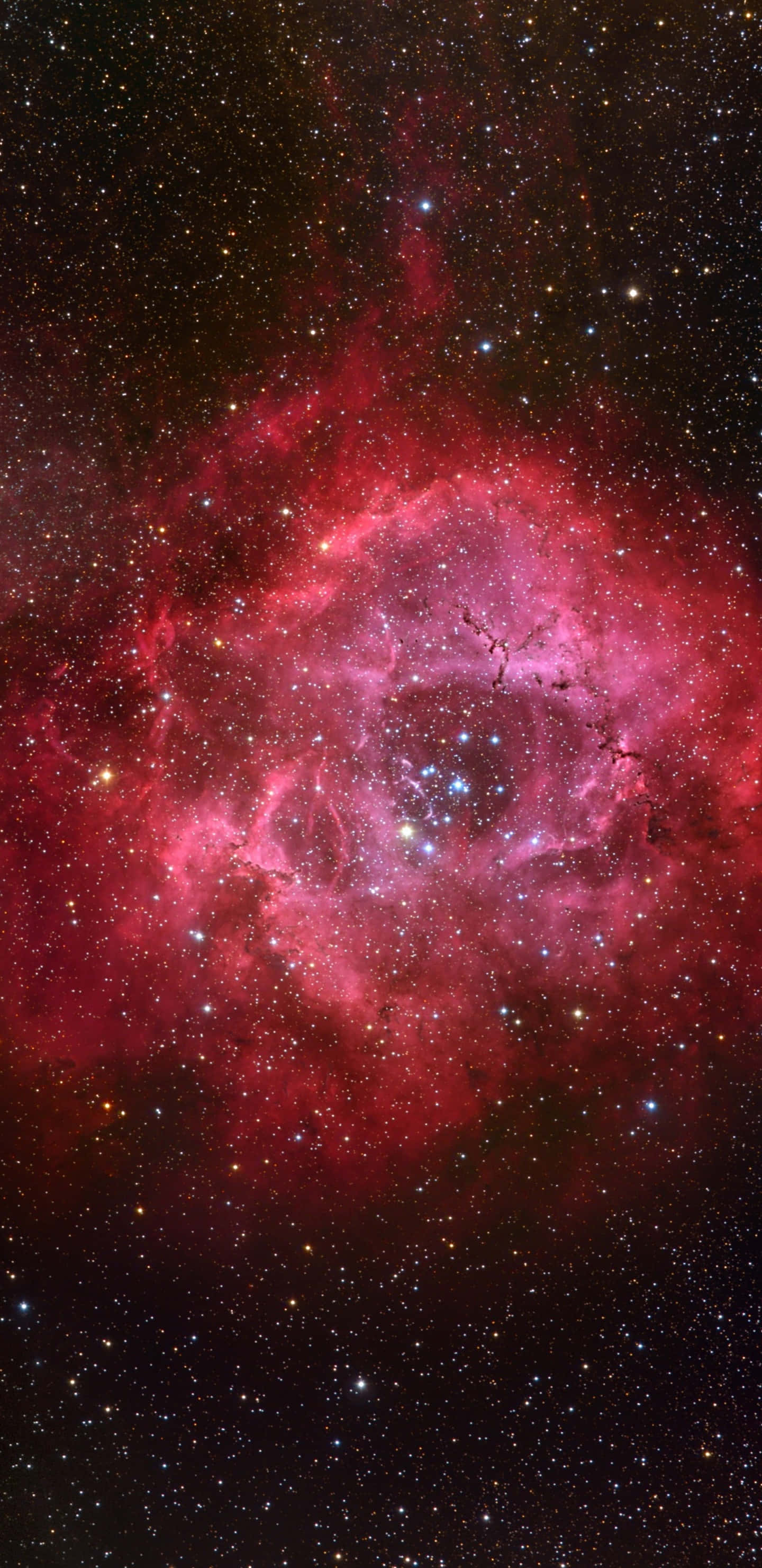 Red Galaxy 桌布 壁紙 — 一個充滿活力的紅色和粉紅色星雲，在深邃的黑色宇宙背景下，旋轉著發光的氣體和散落的星星。