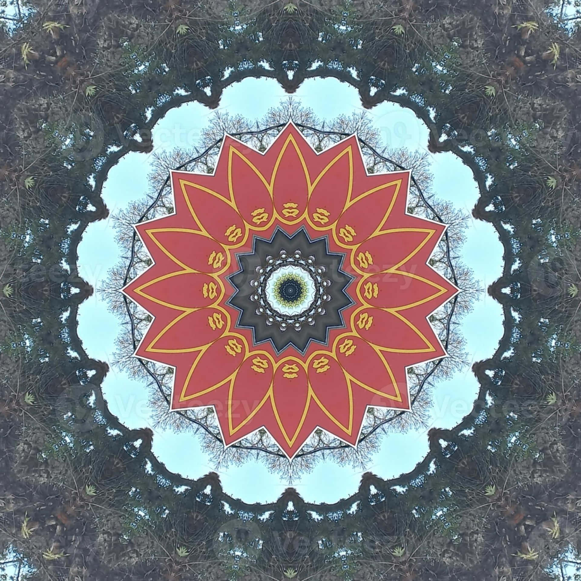 迷幻動圖 桌布 壁紙 — 一個充滿活力的紅色和金色曼陀羅，帶有複雜的圖案，從中央的眼睛向鏡面天空和光禿的樹枝放射。