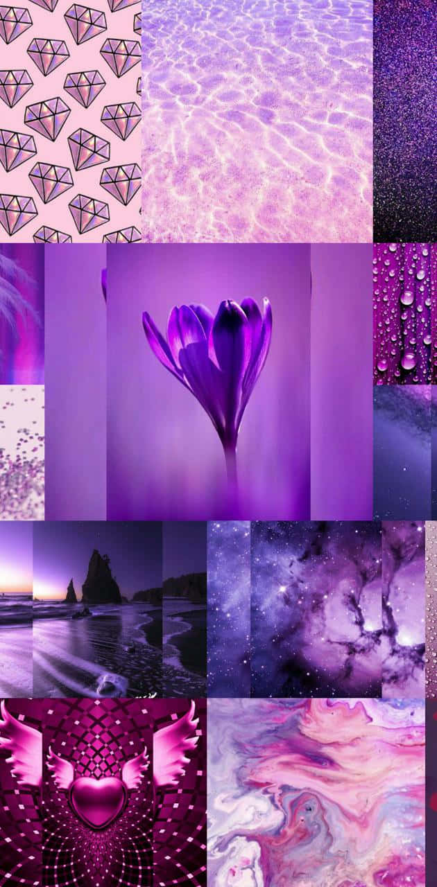 Purple Collage 桌布 壁紙 — 一個充滿活力的紫色主題拼貼畫，包含鑽石、水波紋、番紅花、宇宙星雲和抽象圖案。