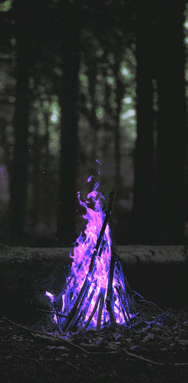 高清 桌布 壁紙 — 一個充滿活力的紫色營火在夜晚的黑暗森林中明亮地燃燒，向周圍的樹木和地面投射出詭異的光芒。