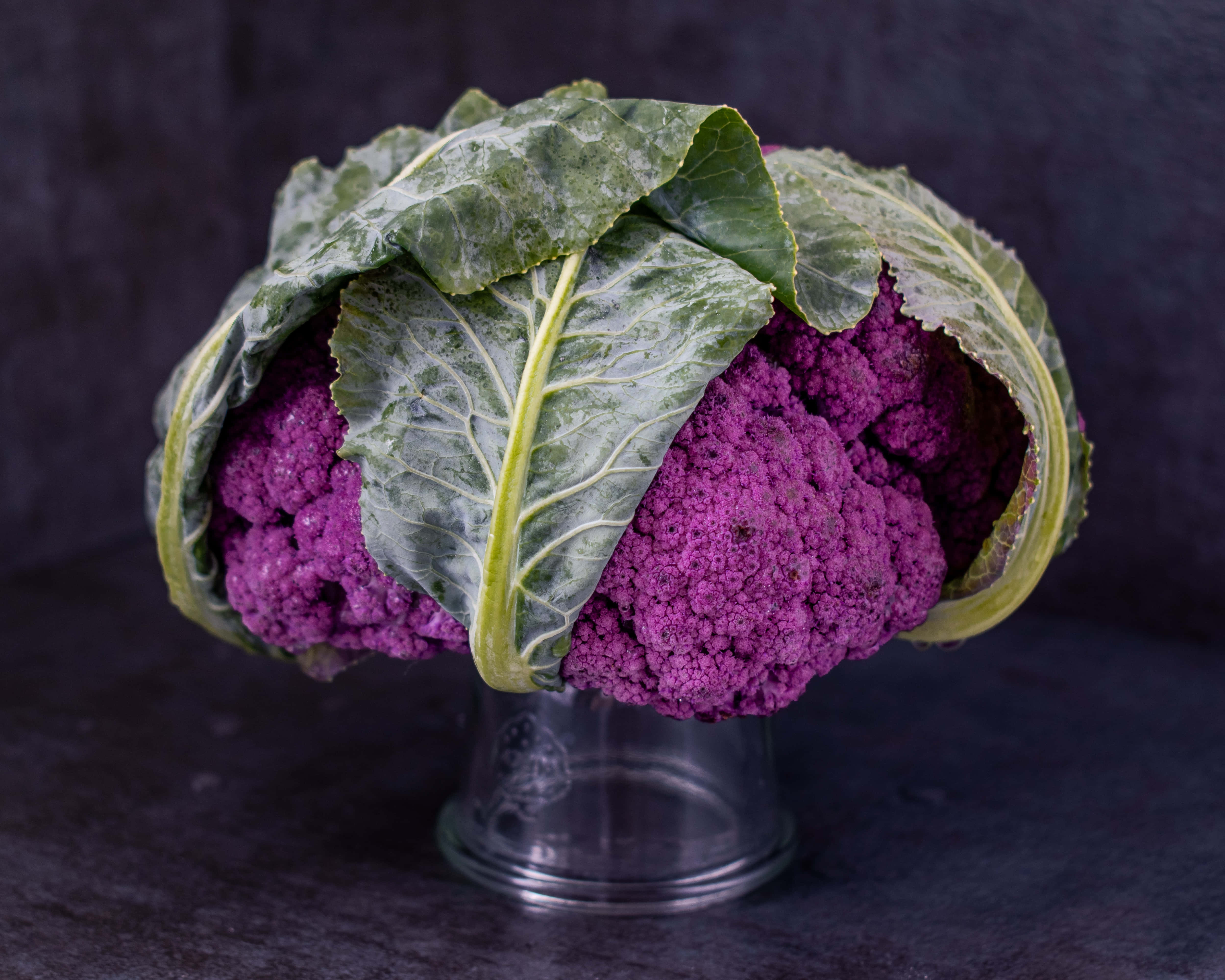 Purple Cauliflower 桌布 壁紙 — 一個充滿活力的紫色花椰菜，帶有綠色葉子，優雅地放在玻璃花瓶裡，背景是深色有紋理的。