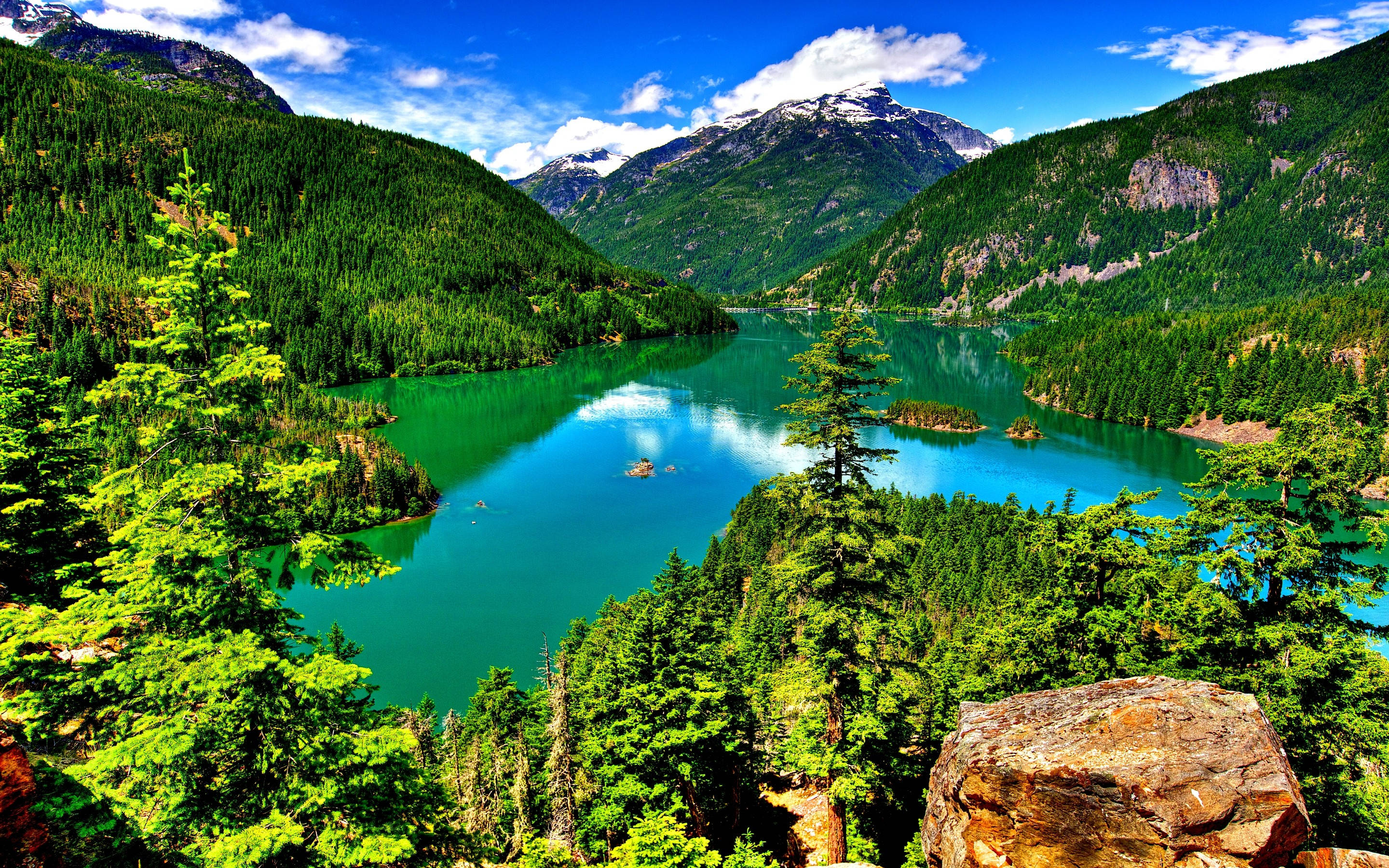 Lake 桌布 壁紙 — 一個充滿活力的綠松石湖泊，坐落在茂密的綠色森林和白雪覆蓋的山脈之間，在明亮的藍天下。