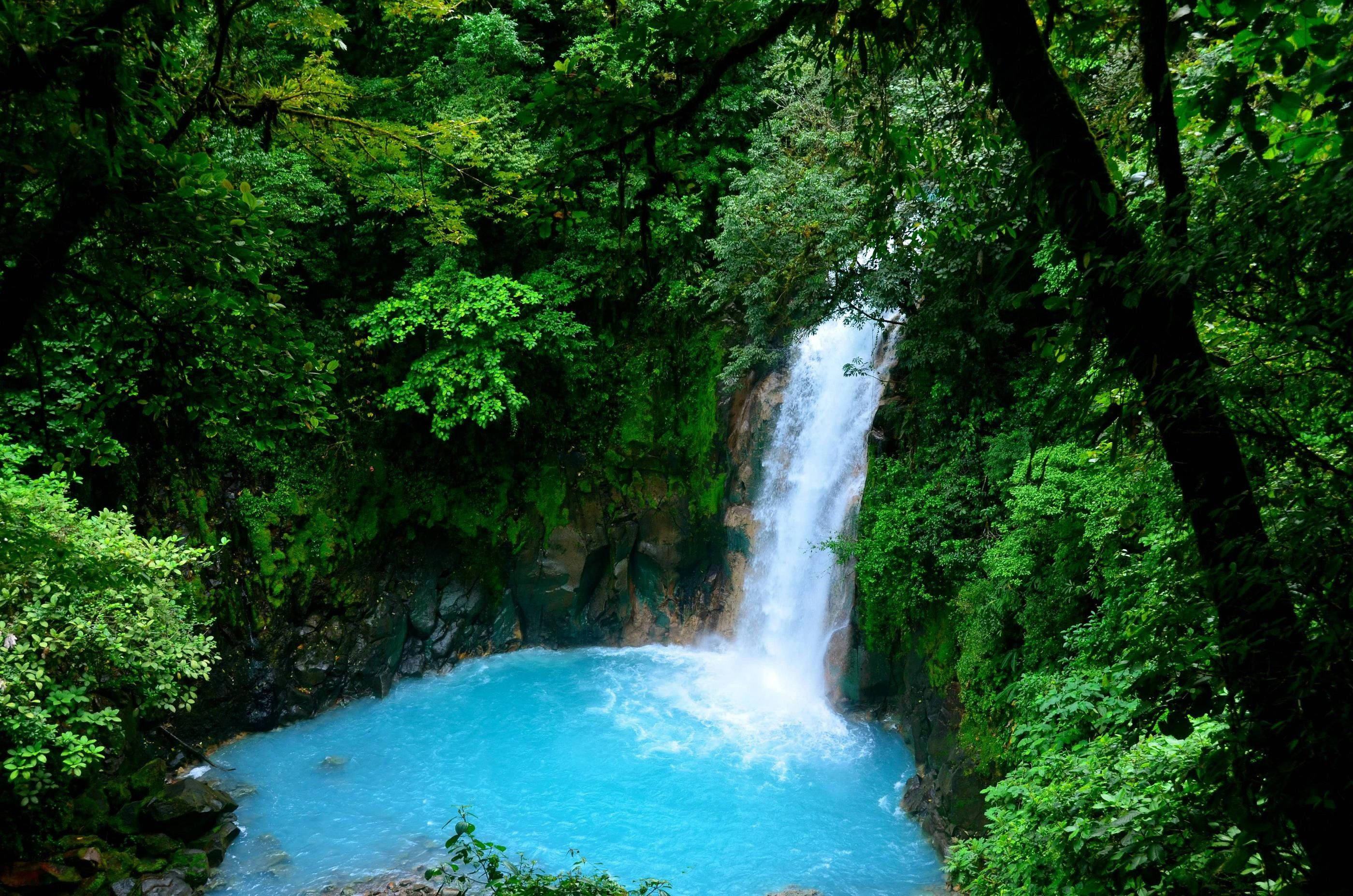 Costa Rica 桌布 壁紙 — 一個充滿活力的綠松石瀑布傾瀉入被茂密綠色森林環繞的池塘中。