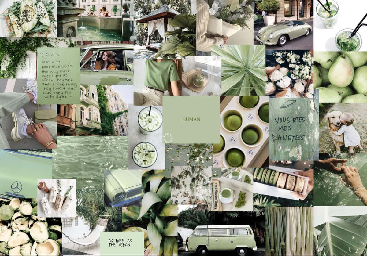 Sage Green Laptop 桌布 壁紙 — 一個充滿活力的綠色主題拼貼畫， featuring 復古汽車、熱帶植物、手寫語錄和新鮮水果，營造出寧靜而時尚的美感。