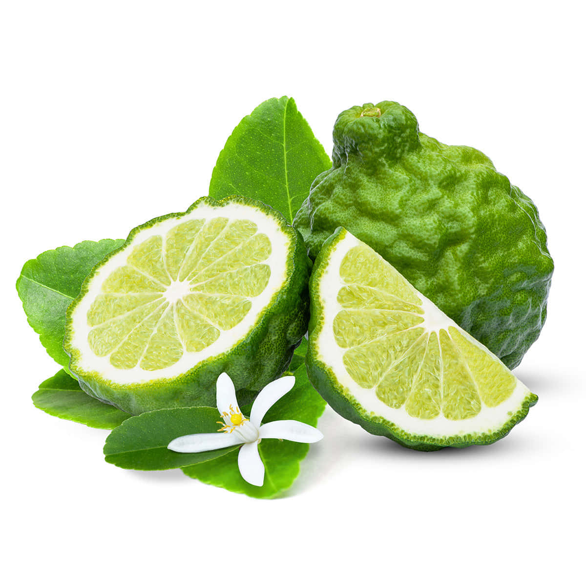 Fruit 桌布 壁紙 — 一個充滿活力的綠色泰國青檸，帶有切片和精緻的白色花朵，放在茂密的葉子上，背景是潔淨的白色。
