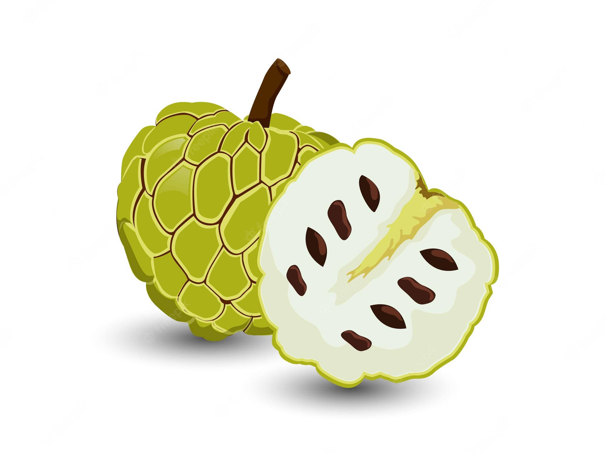 Fruit 桌布 壁紙 — 一個充滿活力的綠色牛心果切半，露出奶油白色的果肉和深色種子，背景是潔淨的白色。