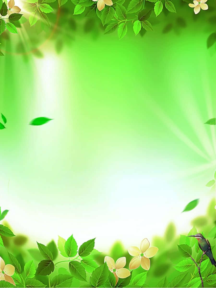 Plant 桌布 壁紙 — 一個充滿活力的綠色自然框架，樹葉和花朵在陽光下閃閃發光，一隻蜂鳥棲息在樹枝上。
