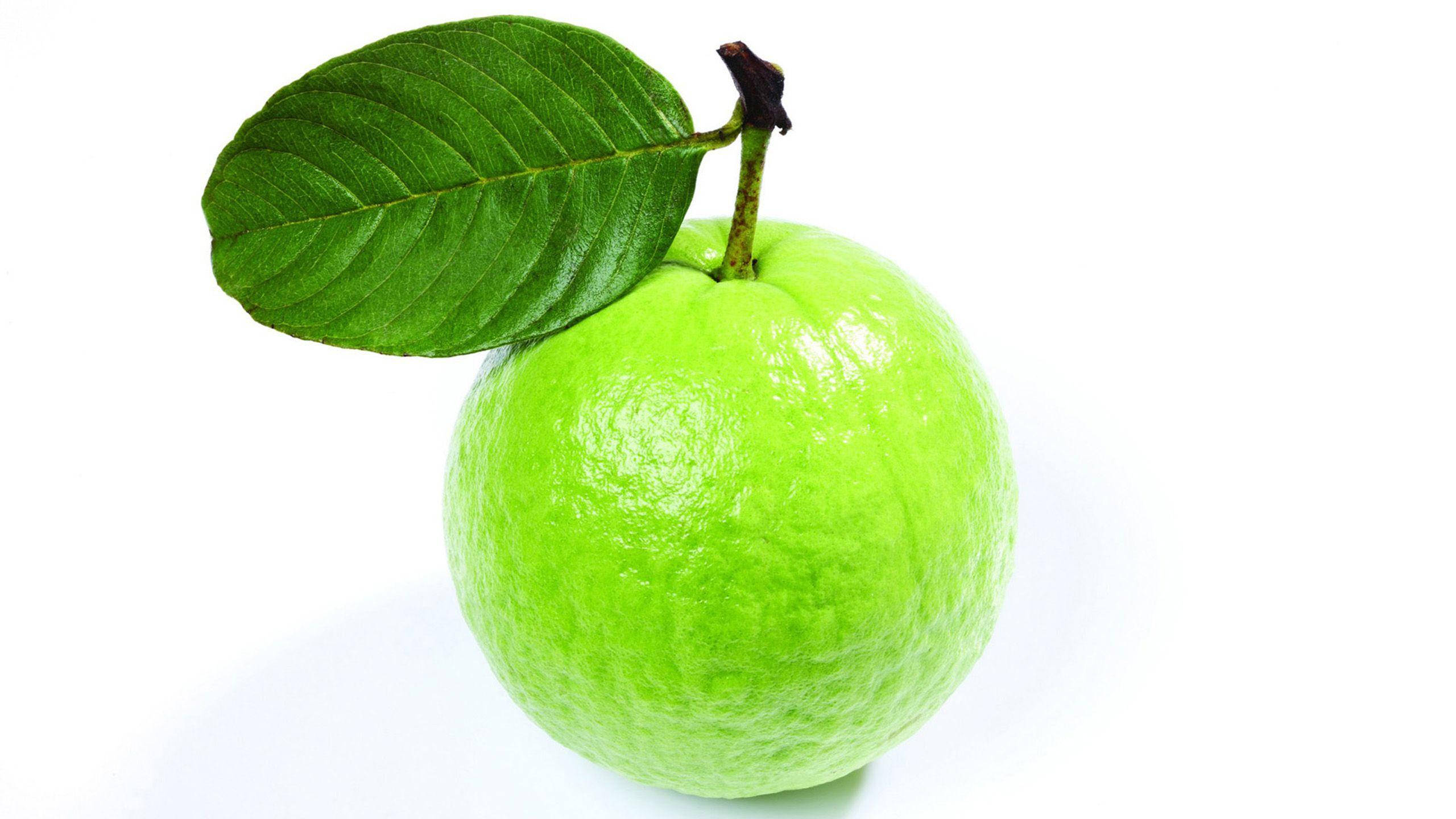Fruit 桌布 壁紙 — 一個充滿活力的綠色芭樂，帶有光澤的果皮和一片葉子，孤立在純白色背景上。