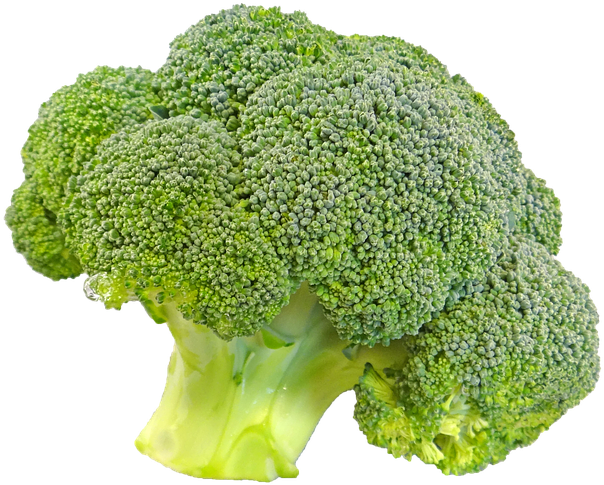 Vegetables 桌布 壁紙 — 一個充滿活力的綠色西蘭花頭，帶有詳細的小花和淡綠色的莖，背景透明。