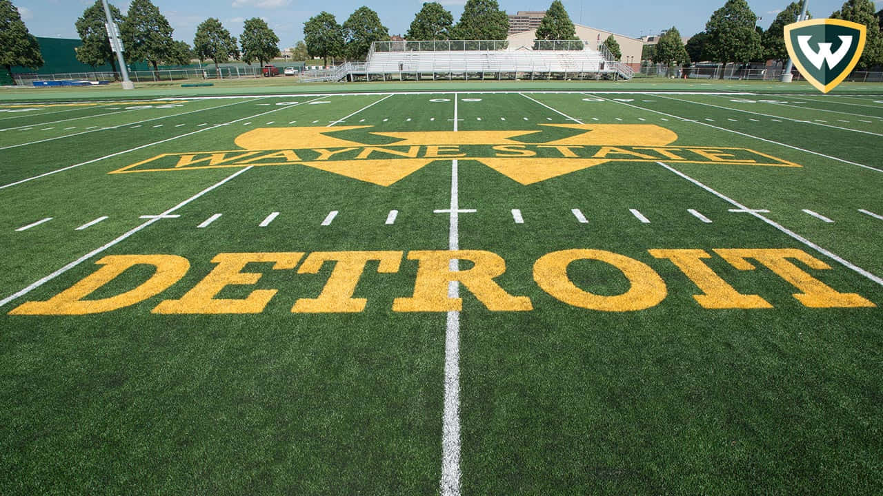 運動 桌布 壁紙 — 一個充滿活力的綠色足球場，上面有粗體黃色 'WAYNE STATE DETROIT' 字樣和白色碼線，背景是清澈的藍天。