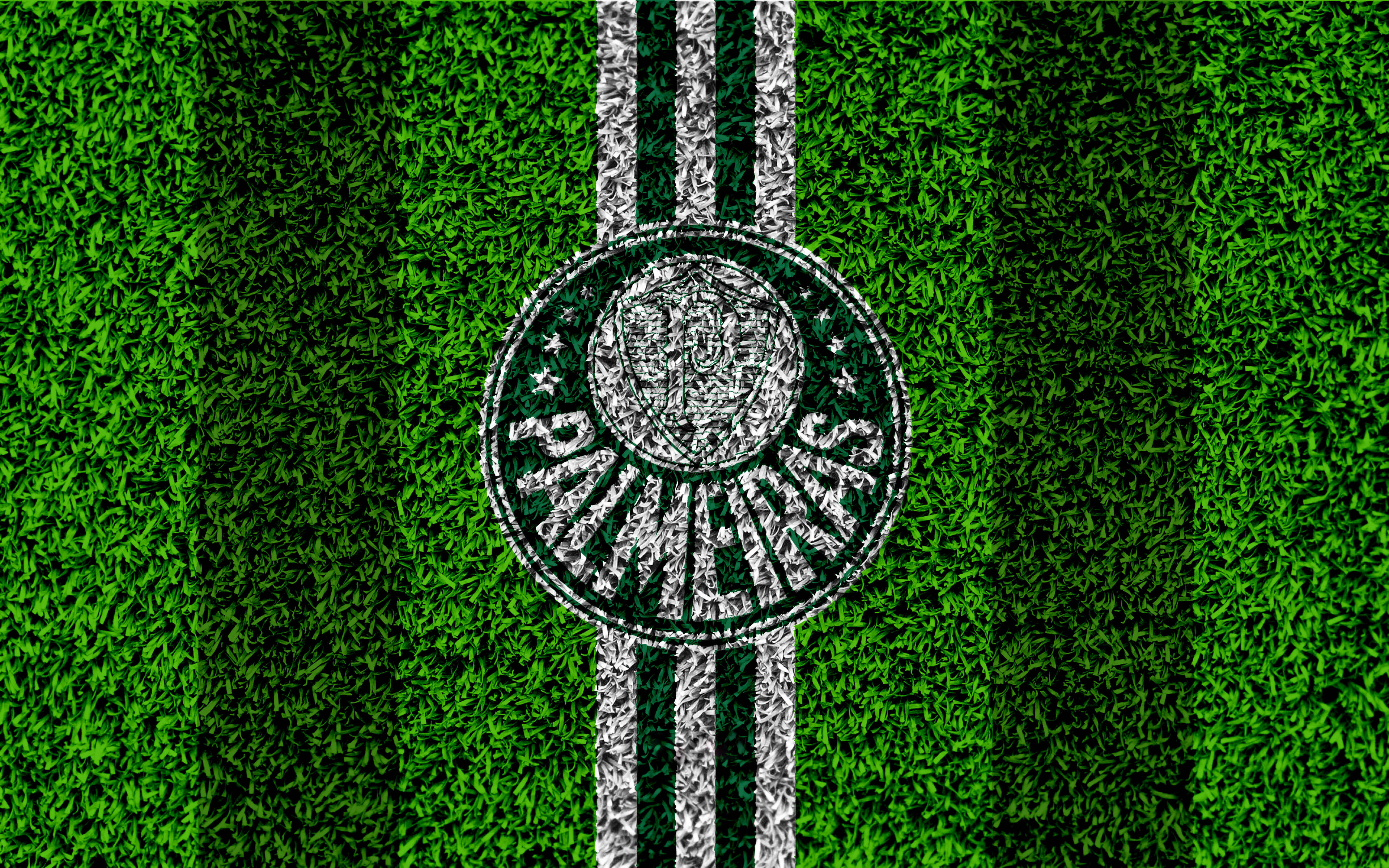 Palmeiras 桌布 壁紙 — 一個充滿活力的綠色足球場特寫，帶有白色線條和一個詳細的球隊徽章位於球場中央。
