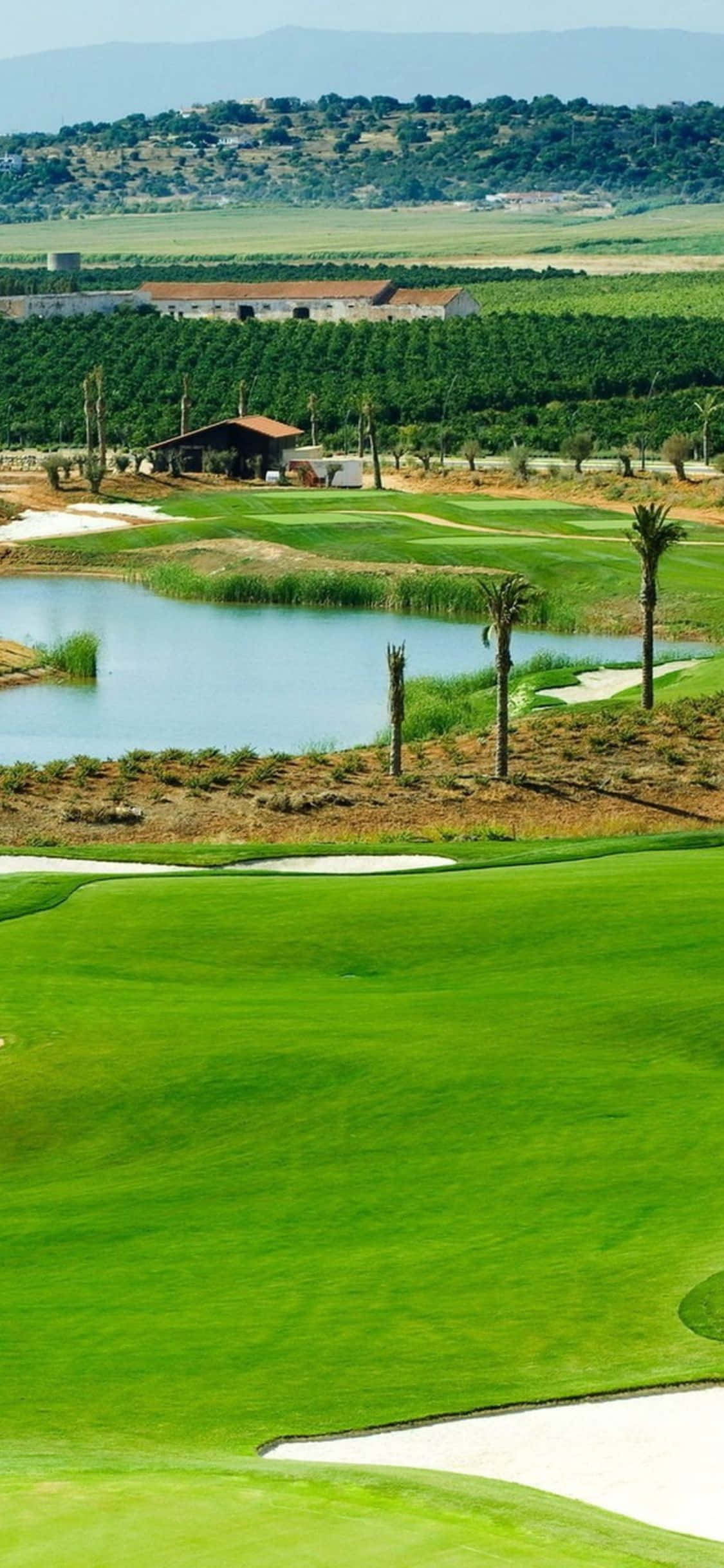 iPhone X Golf Course 桌布 壁紙 — 一個充滿活力的綠色高爾夫球場，設有水障礙和沙坑，在明亮的日光下延伸至遠山。