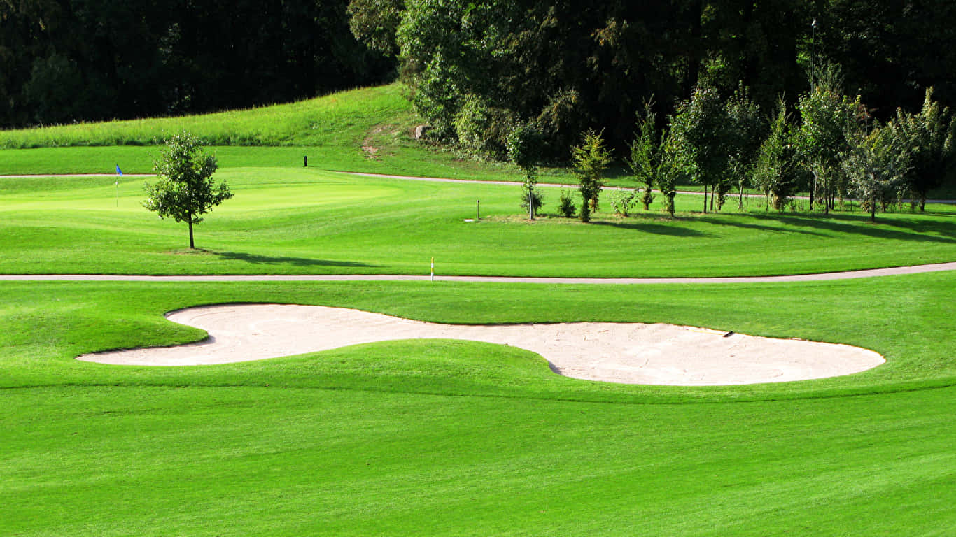 1366x768 Golf Course 桌布 壁紙 — 一個充滿活力的綠色高爾夫球場，設有一個大型沙坑，整齊修剪的草地和散落的樹木，在明亮的日光下。