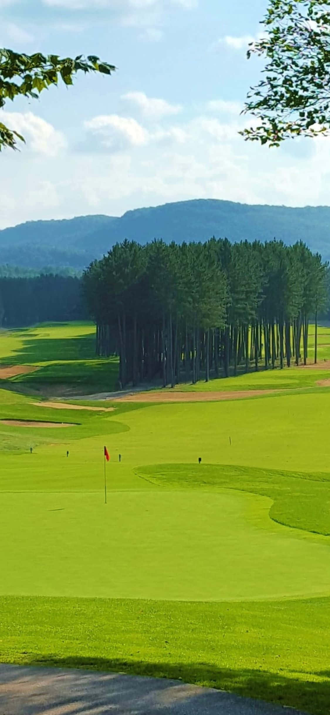 iPhone X Golf Course 桌布 壁紙 — 一個充滿活力的綠色高爾夫球場在明亮的藍天下延伸，天空中有蓬鬆的雲朵和遠處的森林山丘。