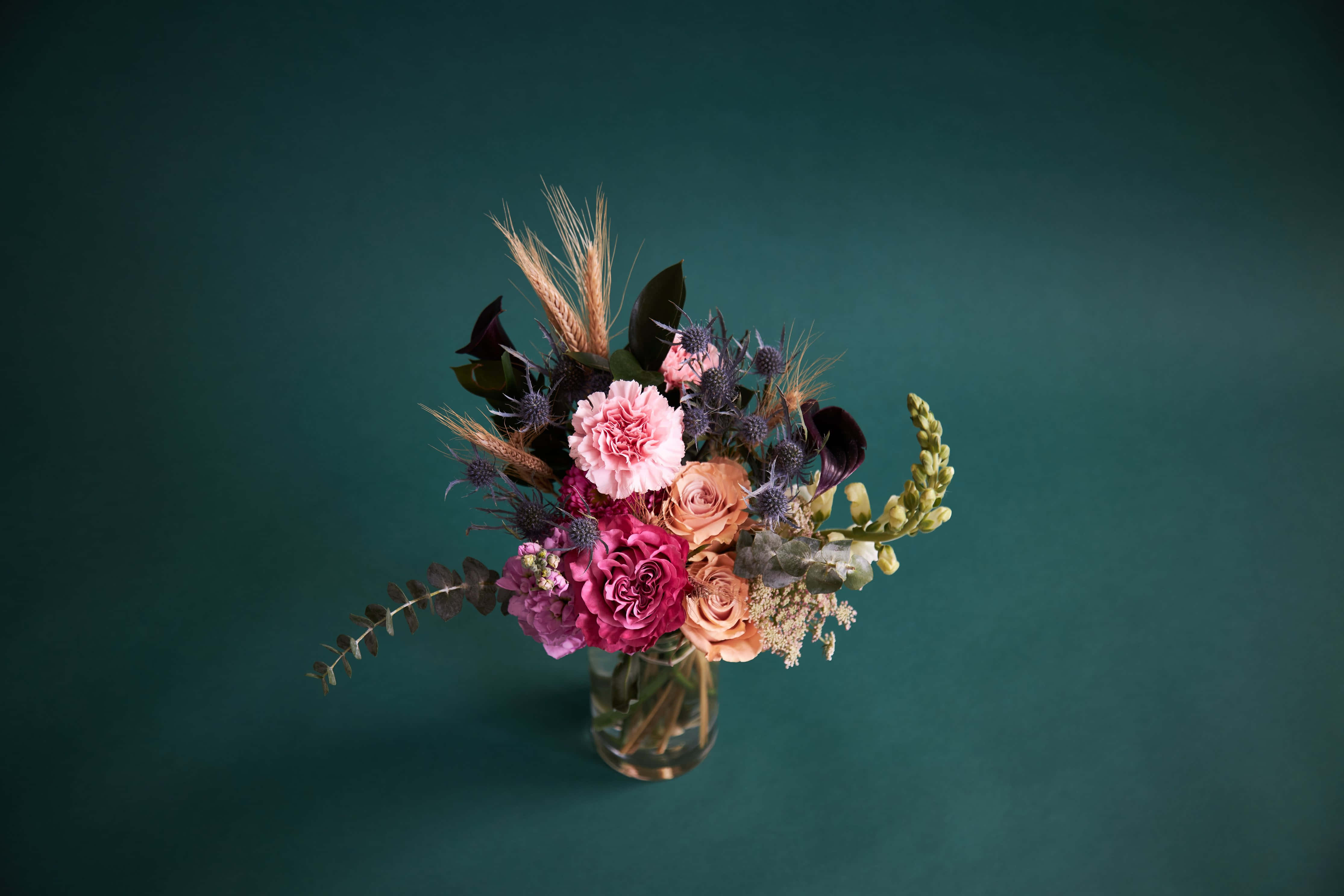 Wedding Bouquet 桌布 壁紙 — 一個充滿活力的花卉佈置，在深青色背景下，玻璃花瓶裡插著粉紅玫瑰和小麥稈。