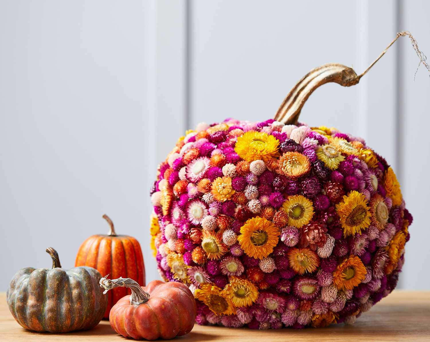 Fall Thanksgiving 桌布 壁紙 — 一個充滿活力的花卉南瓜，裝飾著色彩繽紛的乾燥花，旁邊放著三個較小的南瓜在木桌上。