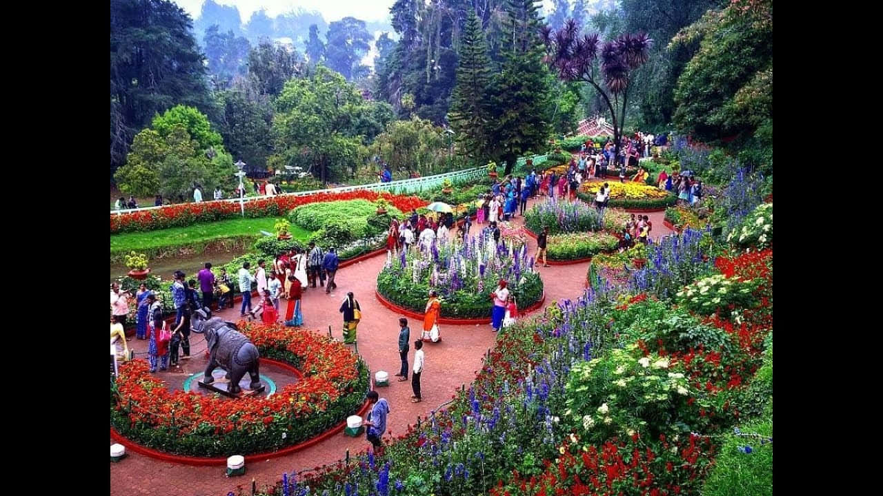 公園 桌布 壁紙 — 一個充滿活力的花園，有蜿蜒的小徑和色彩繽紛的花壇，遊客們享受著風景如畫的景色。