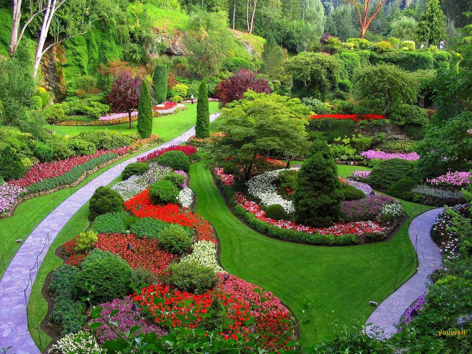 公園 桌布 壁紙 — 一個充滿活力的花園，蜿蜒的石徑穿過茂密的綠色草坪和色彩繽紛的花壇，開滿紅色、粉紅色和白色的花朵。