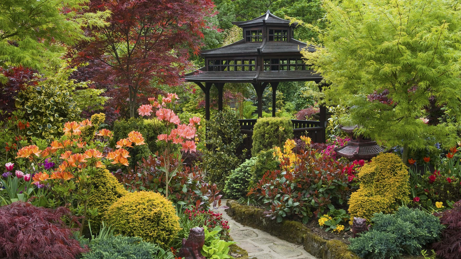 Botanical Garden 桌布 壁紙 — 一個充滿活力的花園，開滿了色彩繽紛的花朵和茂密的樹葉，在明亮的日光下環繞著一個深色木製涼亭。