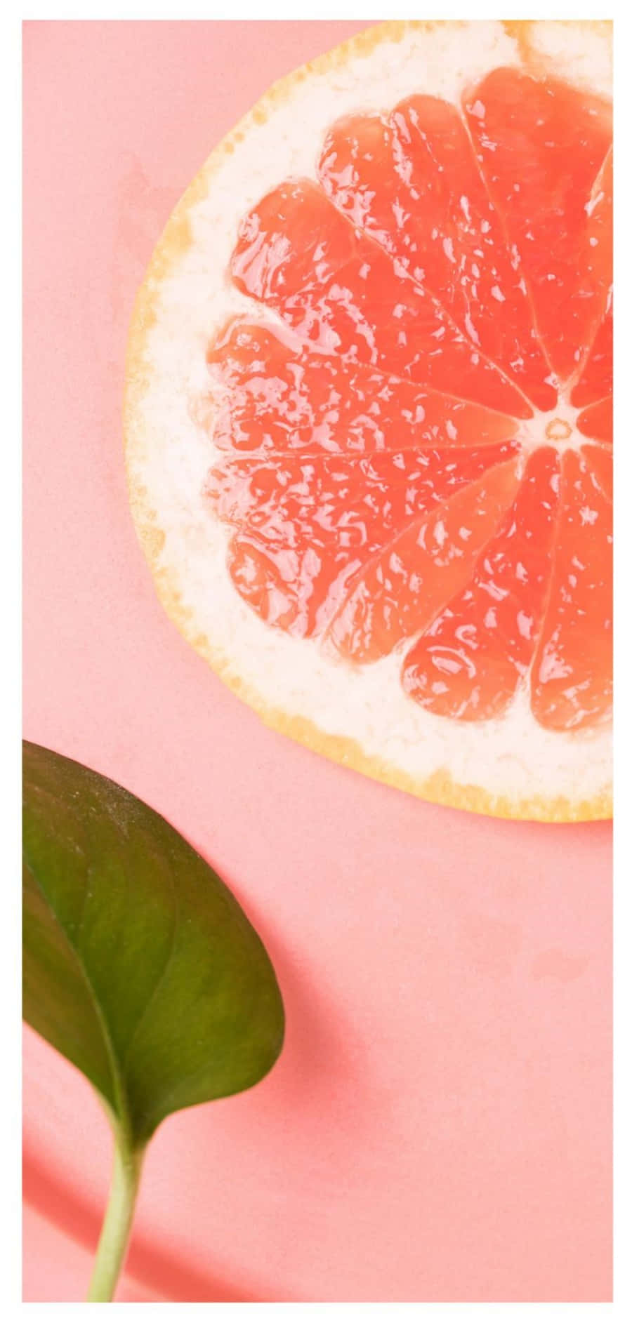 Pink Grapefruit 桌布 壁紙 — 一個充滿活力的葡萄柚橫切面，多汁的果肉旁邊放著一片新鮮的綠葉，背景是柔和的粉紅色。