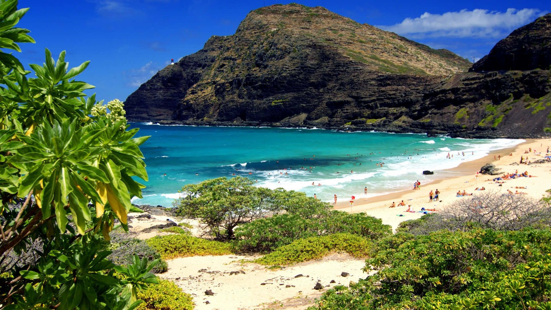 Hawaiian Beach 桌布 壁紙 — 一個充滿活力的藍綠色海灣，坐落在崎嶇的懸崖之間，沙灘上有曬太陽的人，周圍環繞著茂密的綠色樹葉。