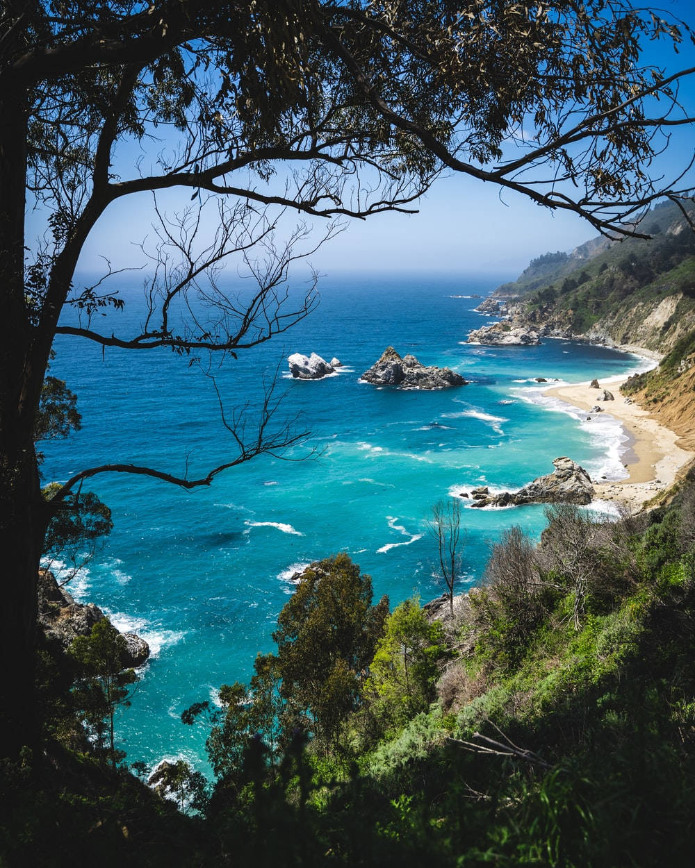 Sea 桌布 壁紙 — 一個充滿活力的藍綠色海灣，被深色樹枝框住，有岩石海岸和沙灘，在清澈的藍天下。