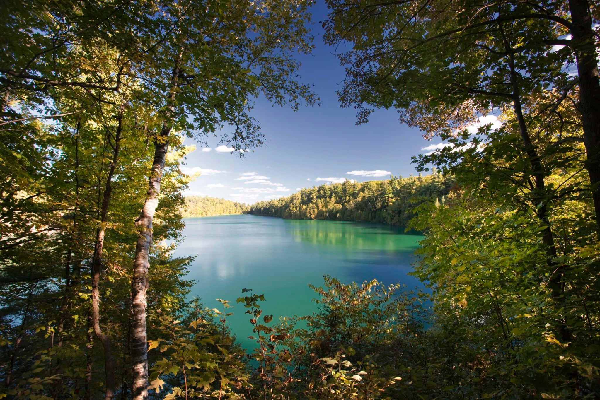 Lake 桌布 壁紙 — 一個充滿活力的藍綠色湖泊，被陽光照耀的秋日樹木環繞，在清澈的藍天下有零星雲朵。