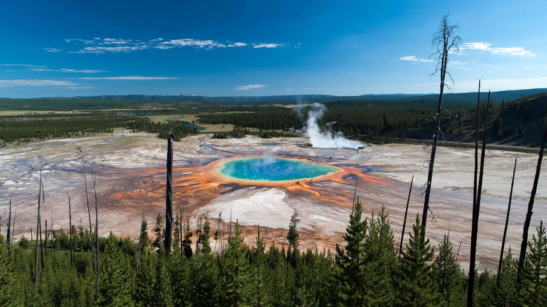 Yellowstone 桌布 壁紙 — 一個充滿活力的藍綠色溫泉，被鏽色礦物沉積物和常綠森林環繞，在清澈的藍天下。