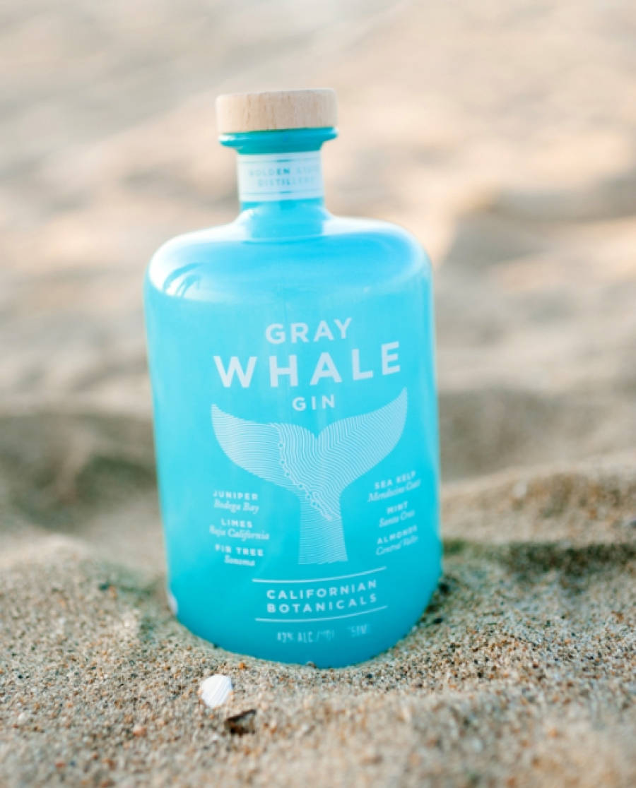 Whale 桌布 壁紙 — 一個充滿活力的藍綠色琴酒瓶，帶有鯨魚尾巴設計，擱在陽光普照的沙灘上，旁邊有一個貝殼。