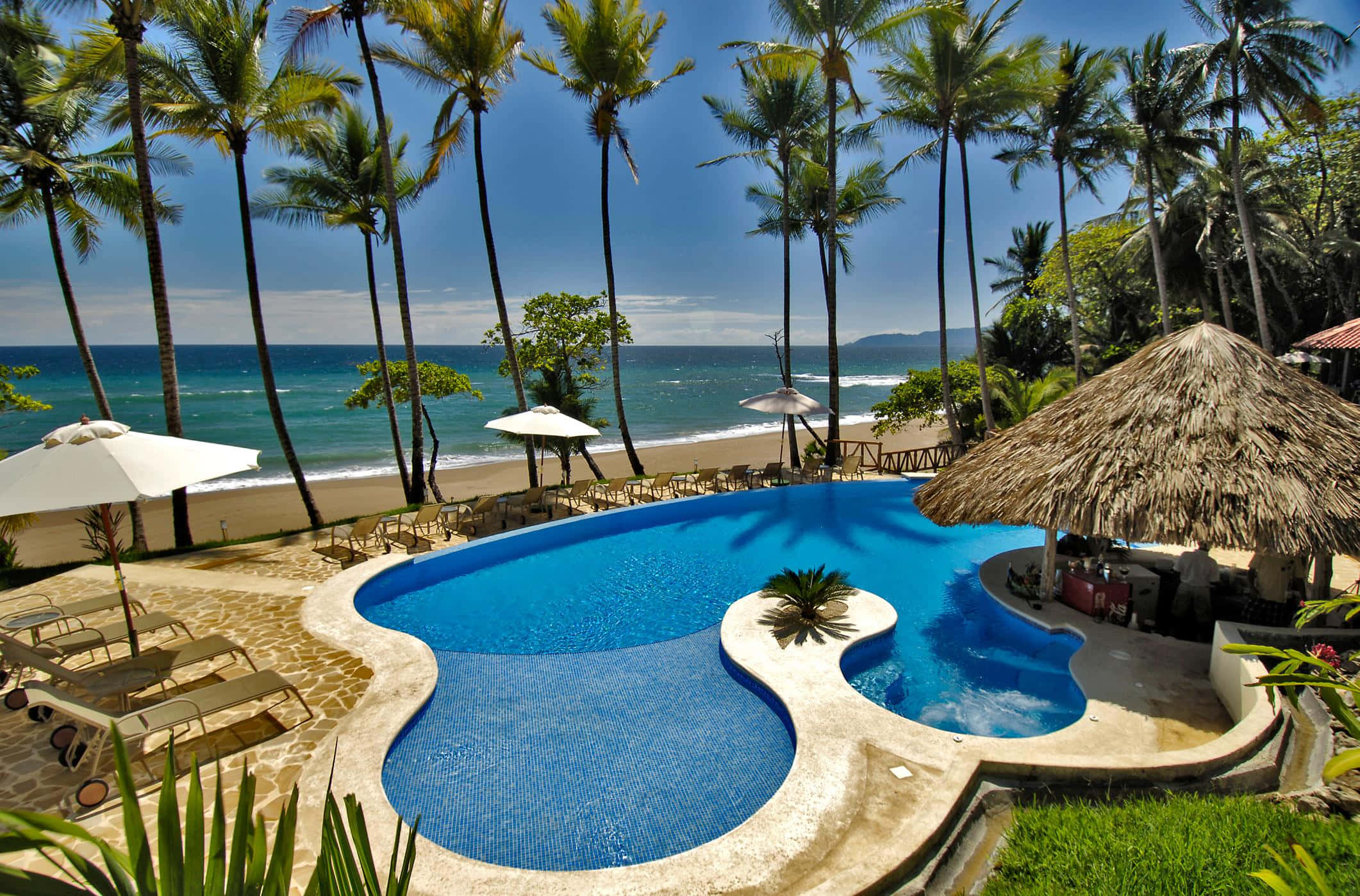 Beach Swimming Pool 桌布 壁紙 — 一個充滿活力的藍色無邊際泳池蜿蜒在沙灘旁，沙灘上種滿高大的棕櫚樹，天空晴朗。