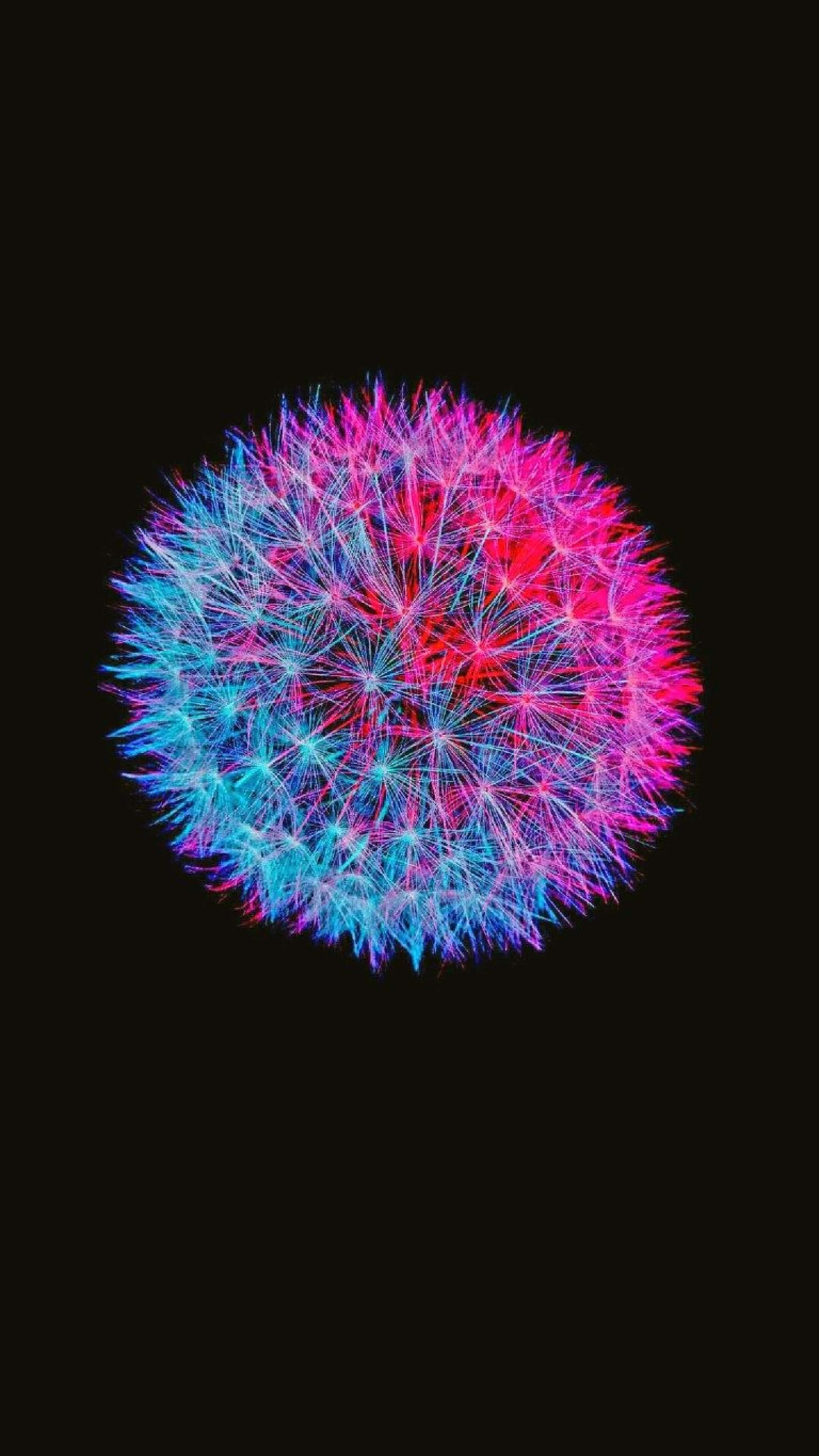 桌布 壁紙 — 一個充滿活力的螢光粉紅和藍色蒲公英種子頭在純黑背景下發光。