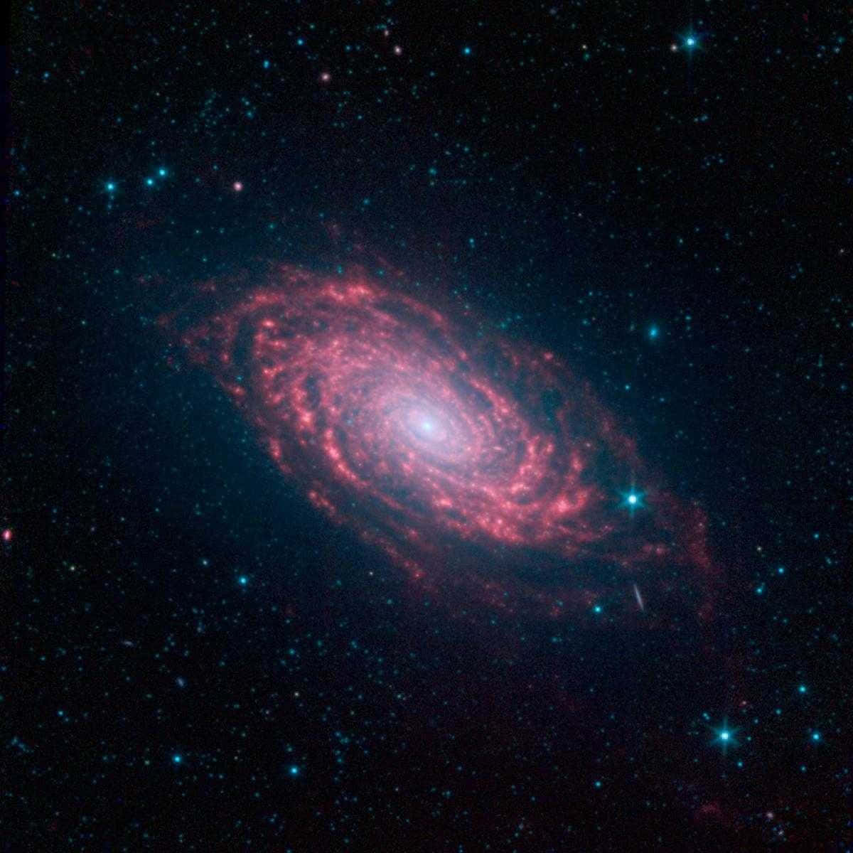 Beautiful Galaxy 桌布 壁紙 — 一個充滿活力的螺旋星系在深空中散發出粉紅色和紅色的色調，背景是藍白色的星場。