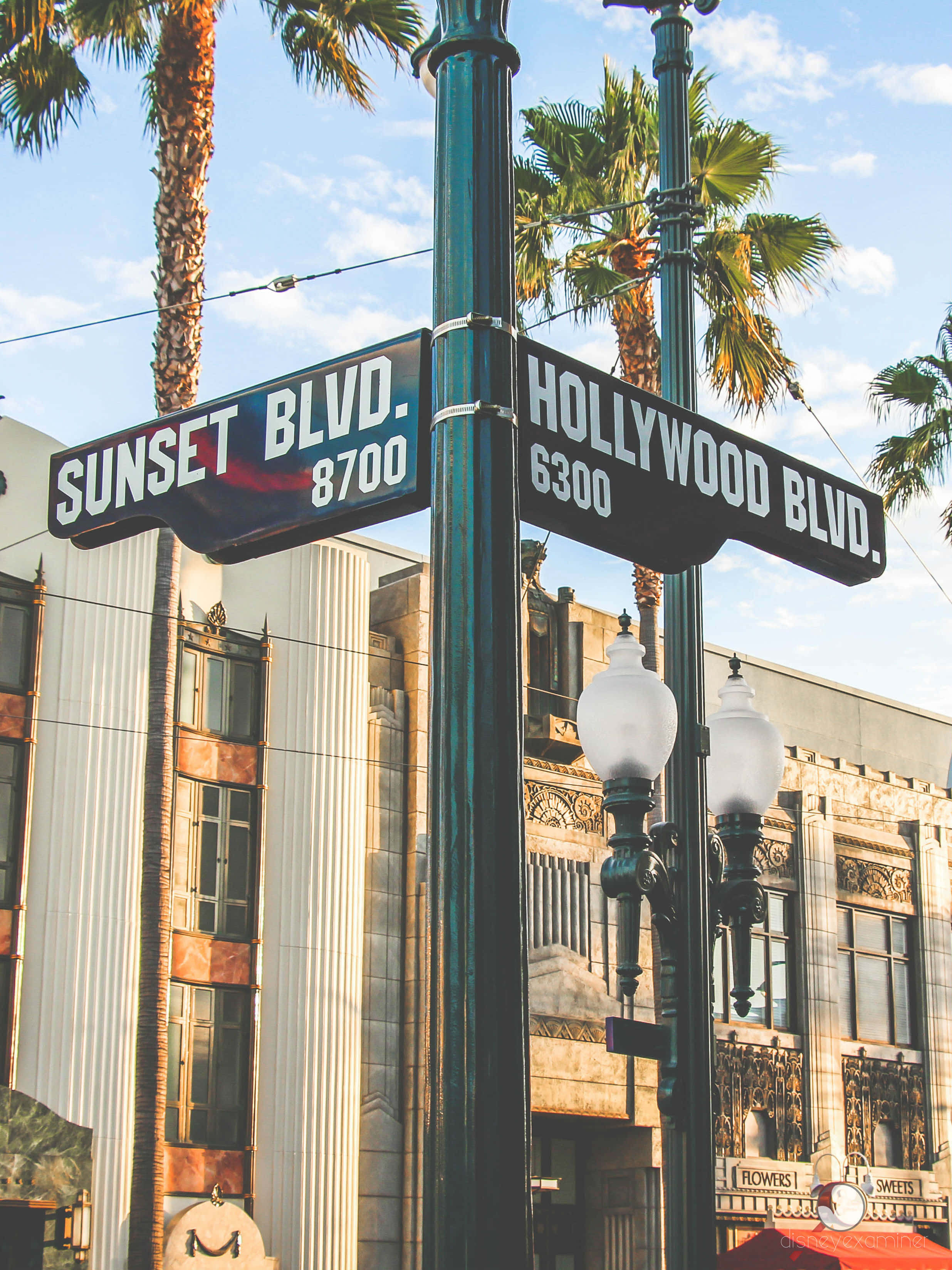 California Aesthetic 桌布 壁紙 — 一個充滿活力的街角，日落大道與好萊塢大道在晴朗的藍天下交匯，背景有棕櫚樹搖曳。