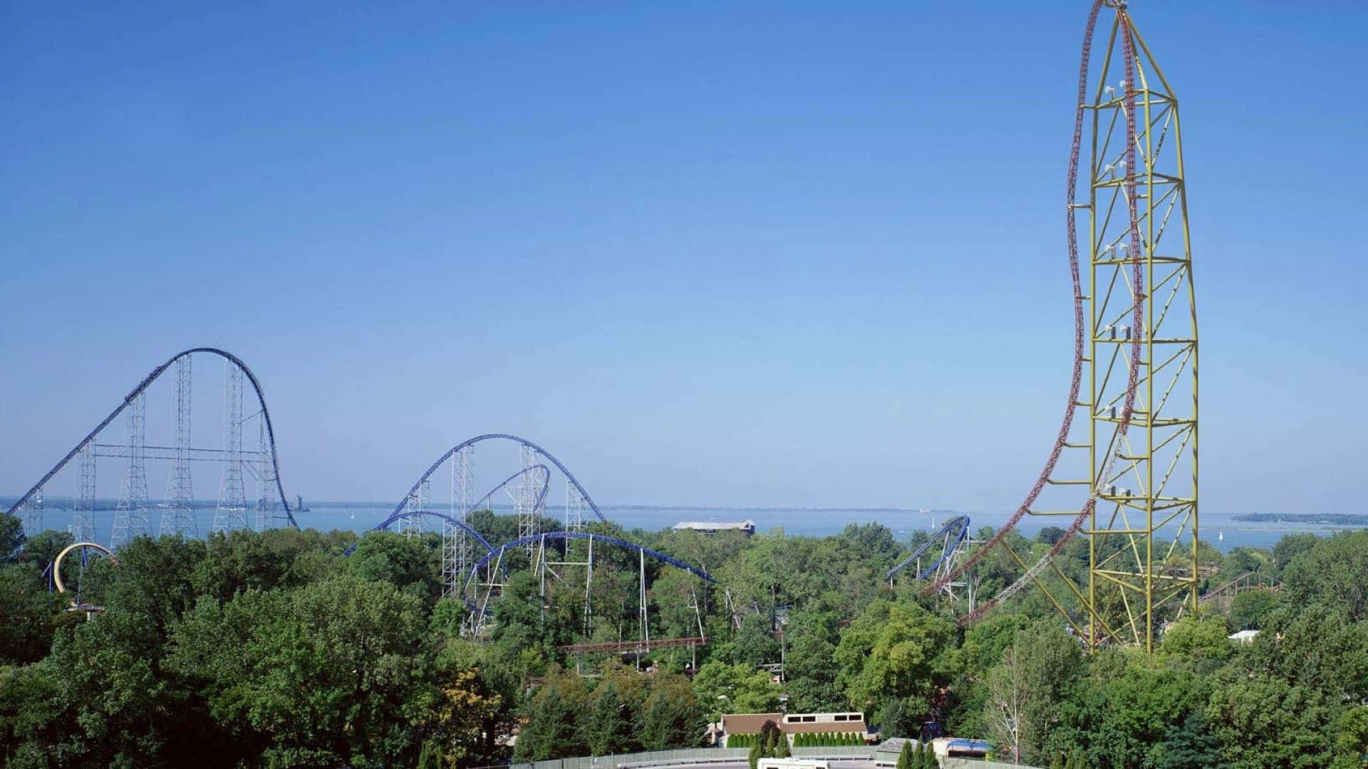 Roller Coaster 桌布 壁紙 — 一個充滿活力的遊樂園，高聳的雲霄飛車在晴朗的藍天下翱翔於茂密的綠樹之上。