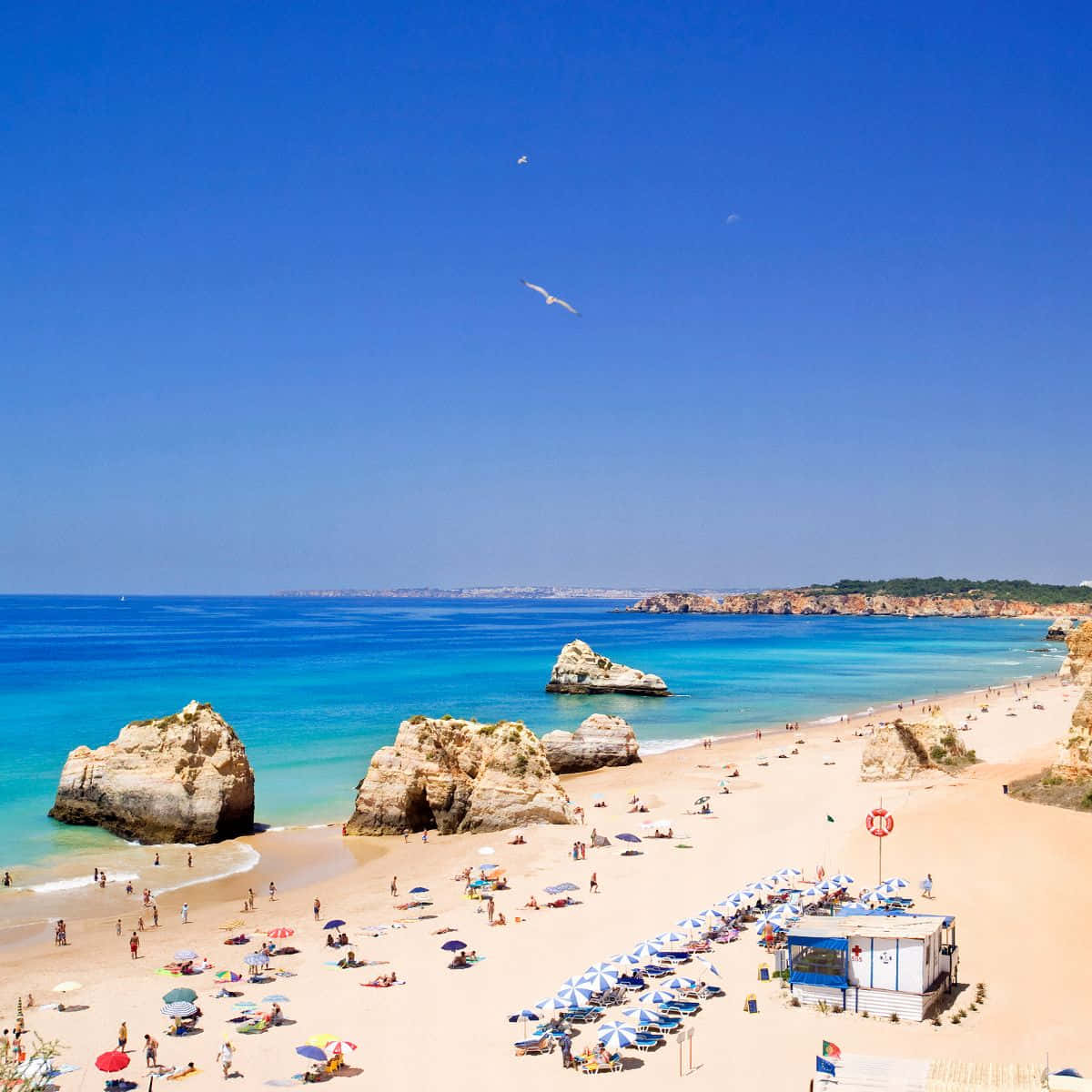 Portuguese Beach 桌布 壁紙 — 一個充滿活力的陽光沙灘，有碧綠的海水、岩石露頭，人們在色彩繽紛的遮陽傘下放鬆。